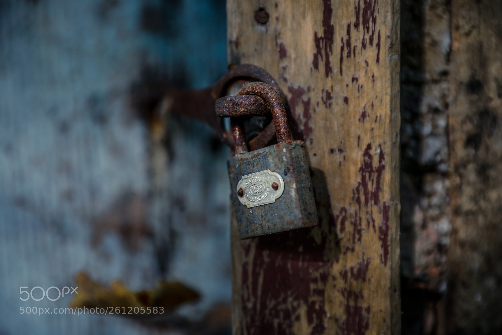 Canon EOS 5D Mark IV sample photo. Forgotten photography