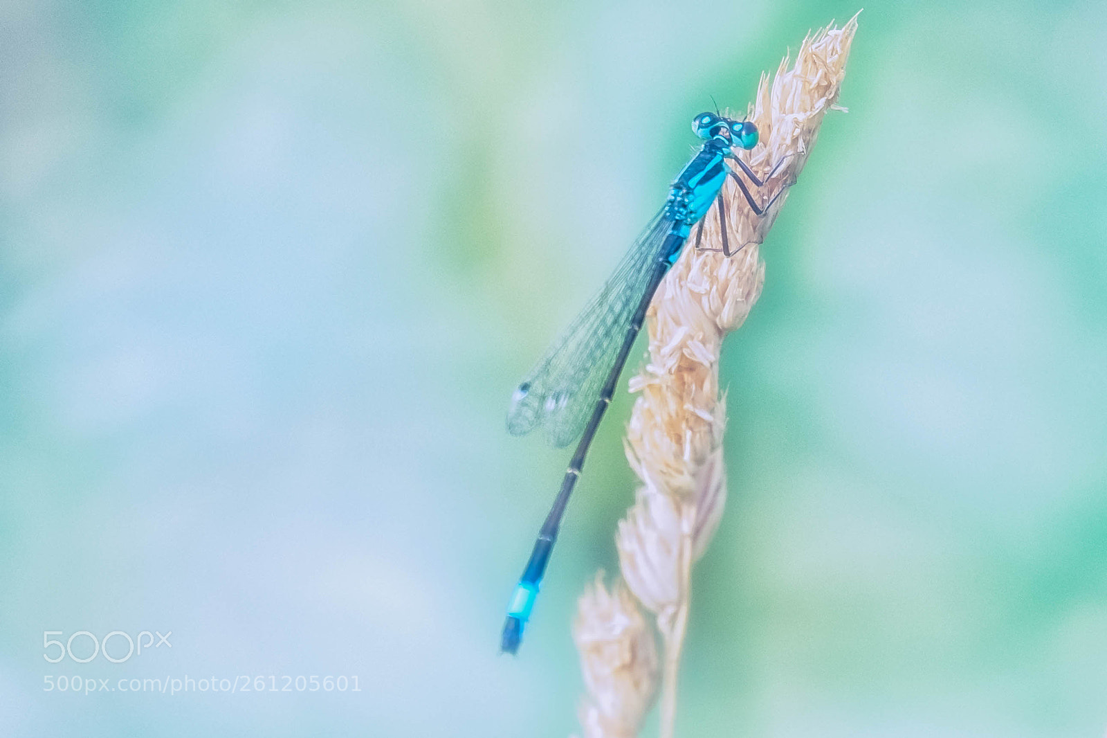 Fujifilm X-T10 sample photo. ... photography