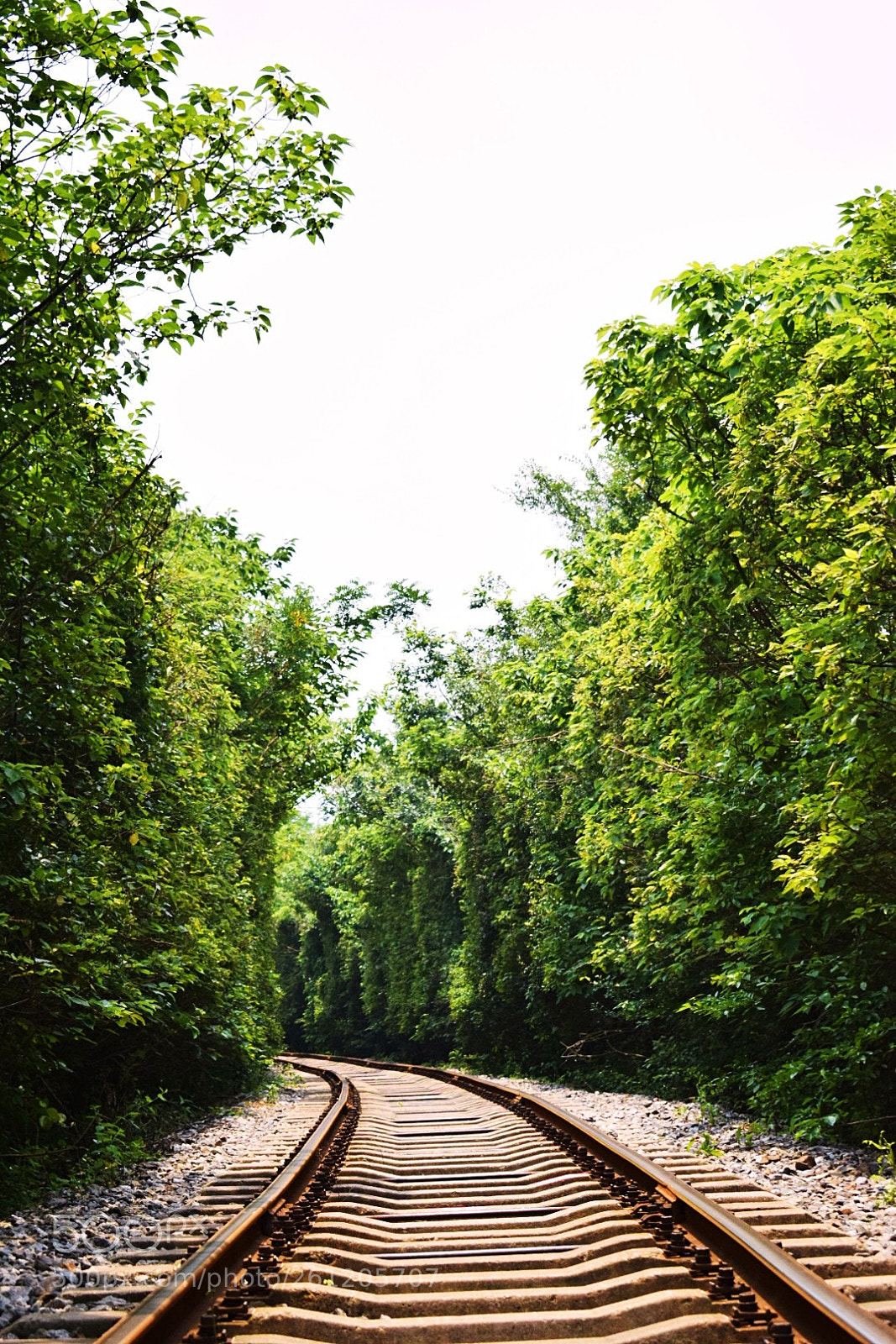 Nikon D5300 sample photo. Untitled photography