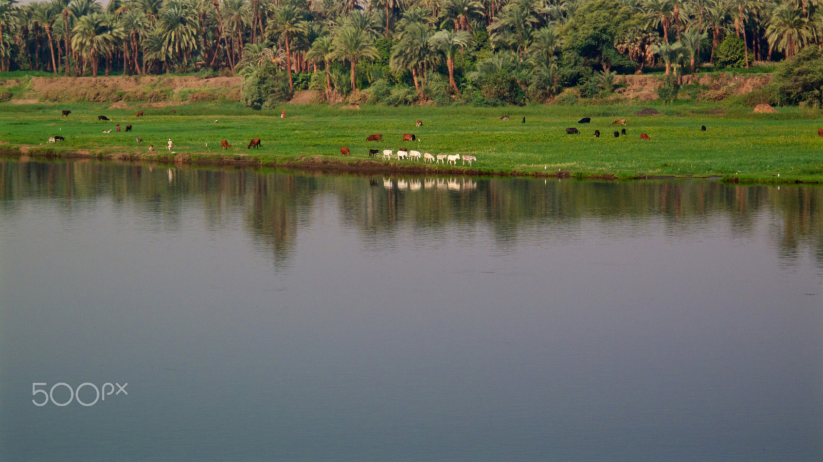 Canon PowerShot G10 sample photo. Nile idyll photography