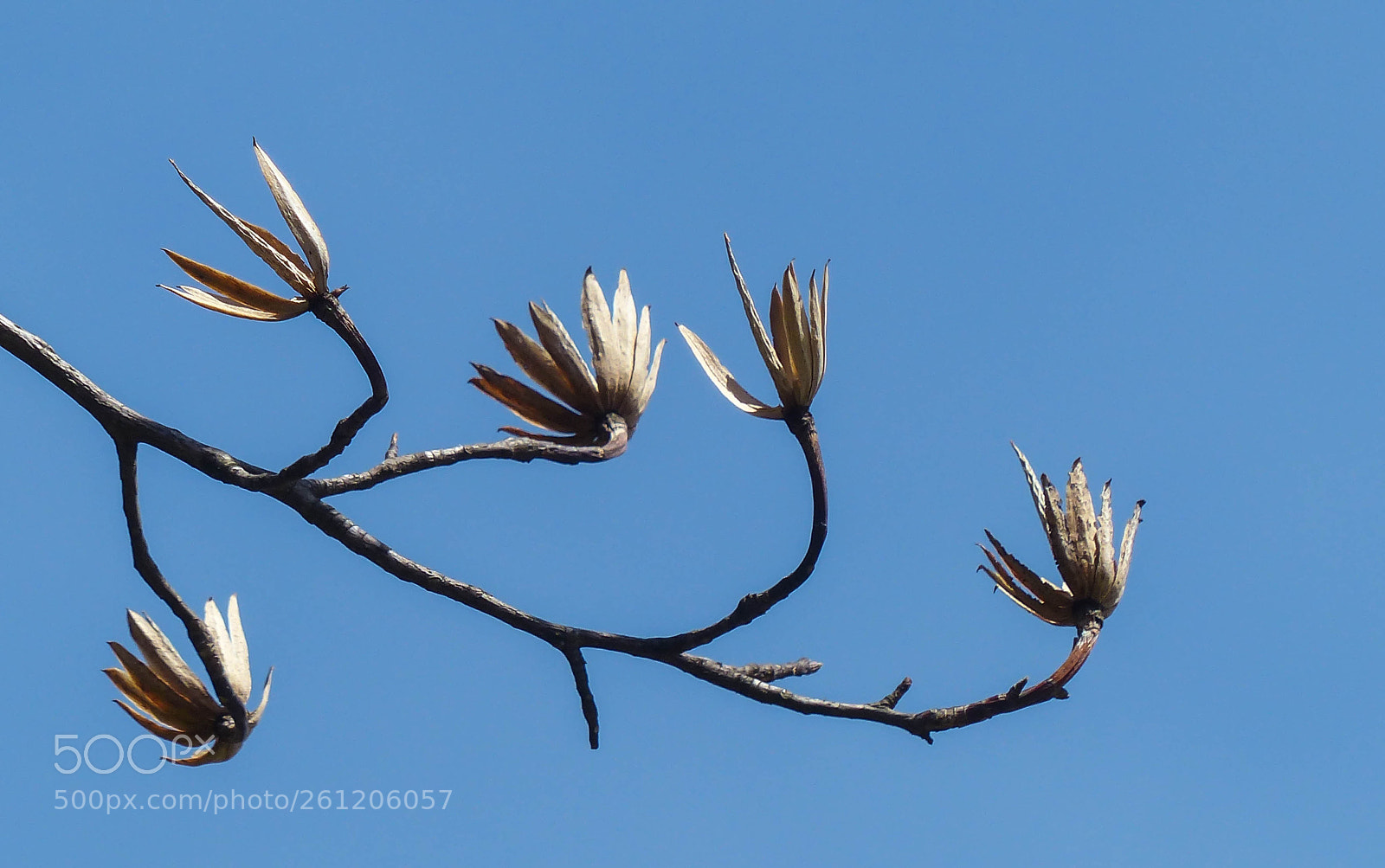 Panasonic Lumix DMC-FZ200 sample photo. Remainder photography