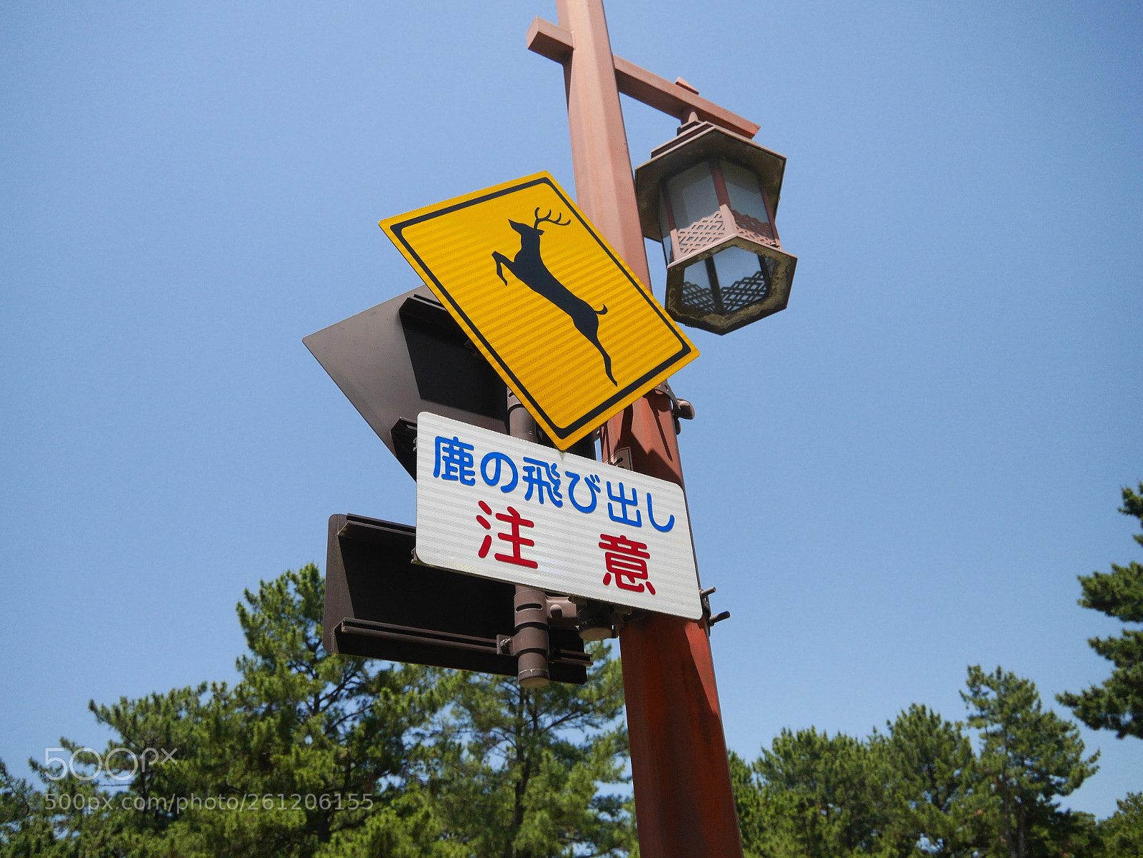 Panasonic Lumix DMC-GX7 sample photo. Untitled photography