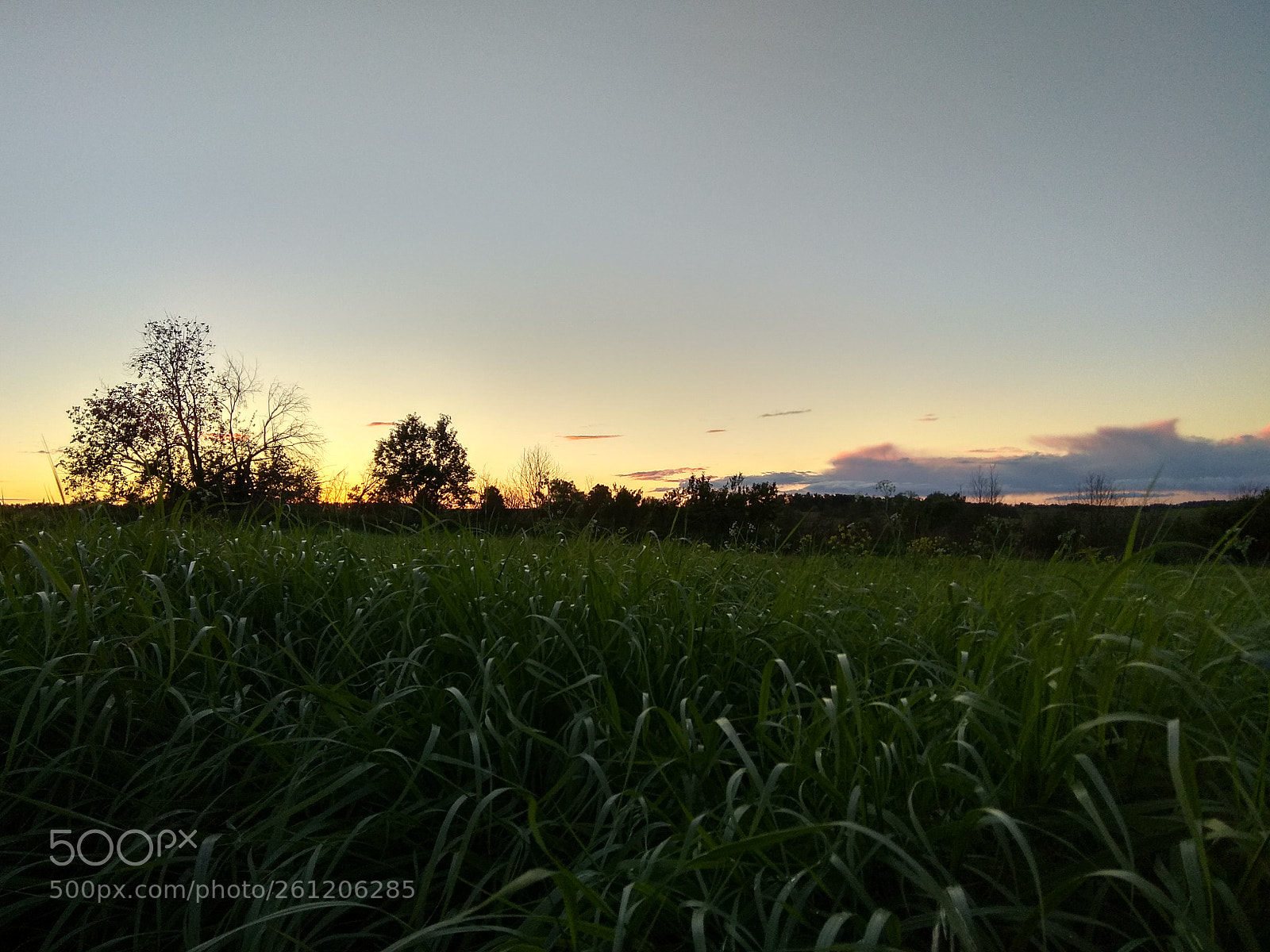 Xiaomi Redmi Note 4 sample photo. Summer evening photography