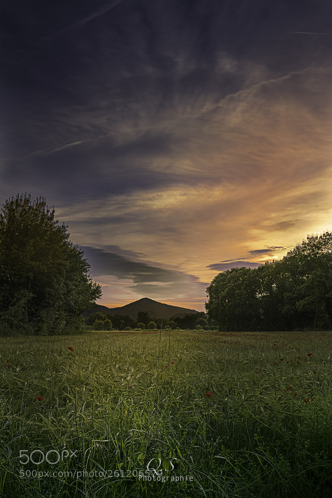 Canon EOS 7D sample photo. Coucher de soleil en photography