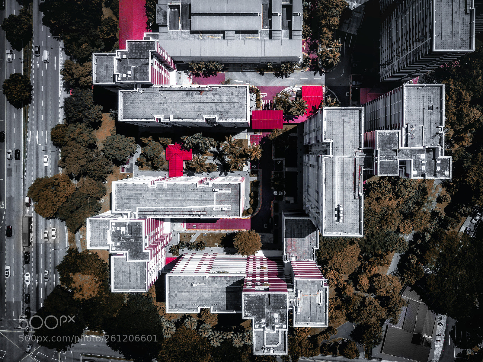 DJI FC220 sample photo. Royal red photography