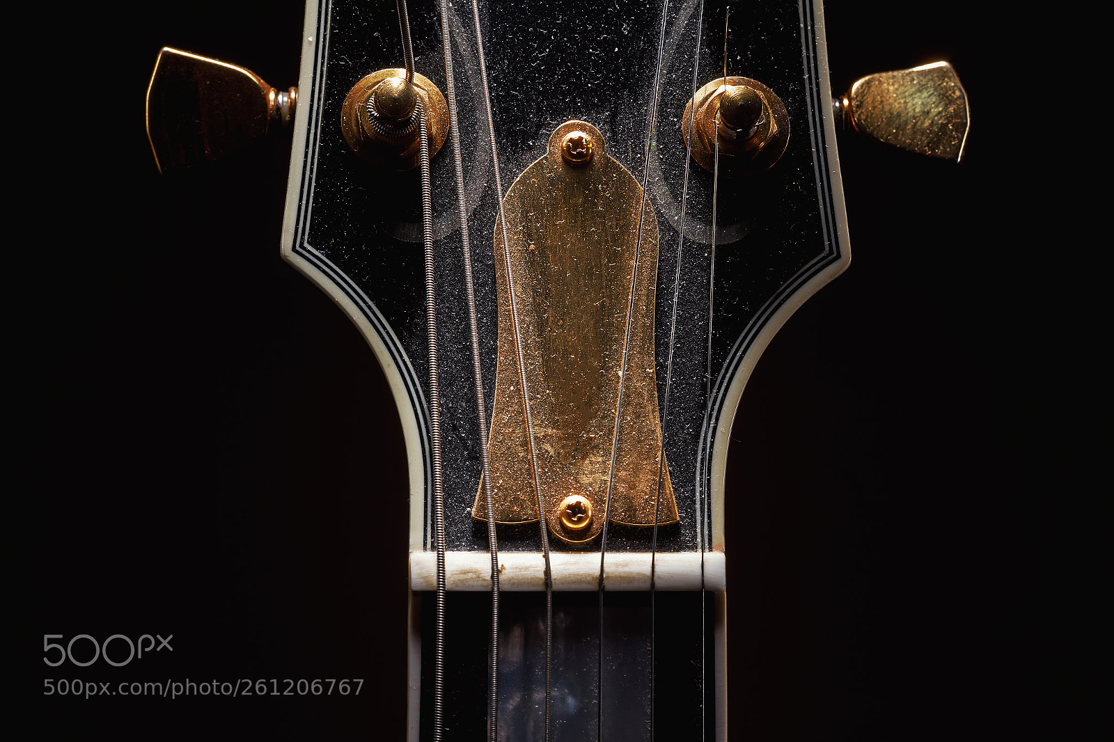 Canon EOS 5D Mark II sample photo. Old dusty electric guitar photography