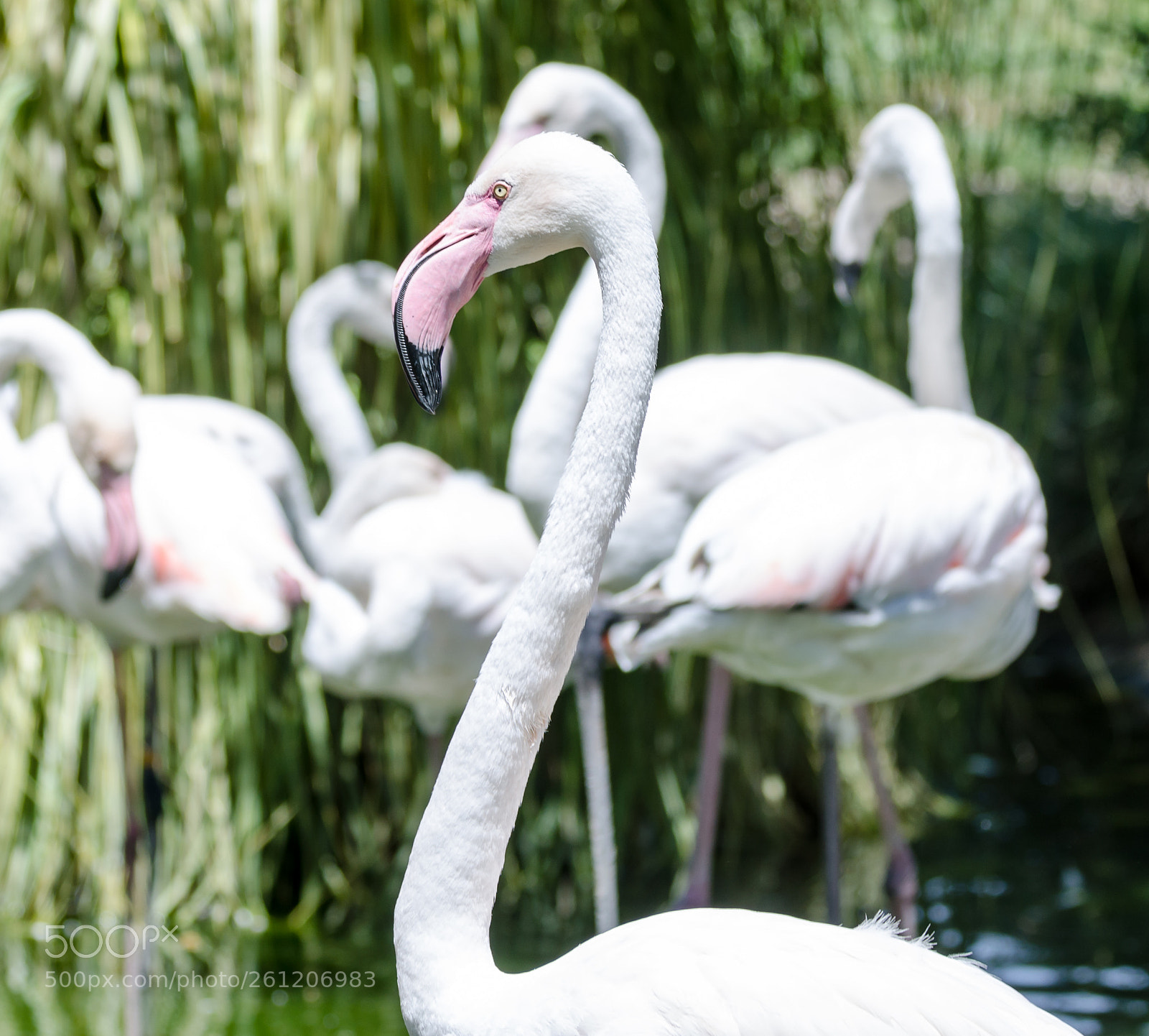 Nikon D7000 sample photo. In all seriousness photography