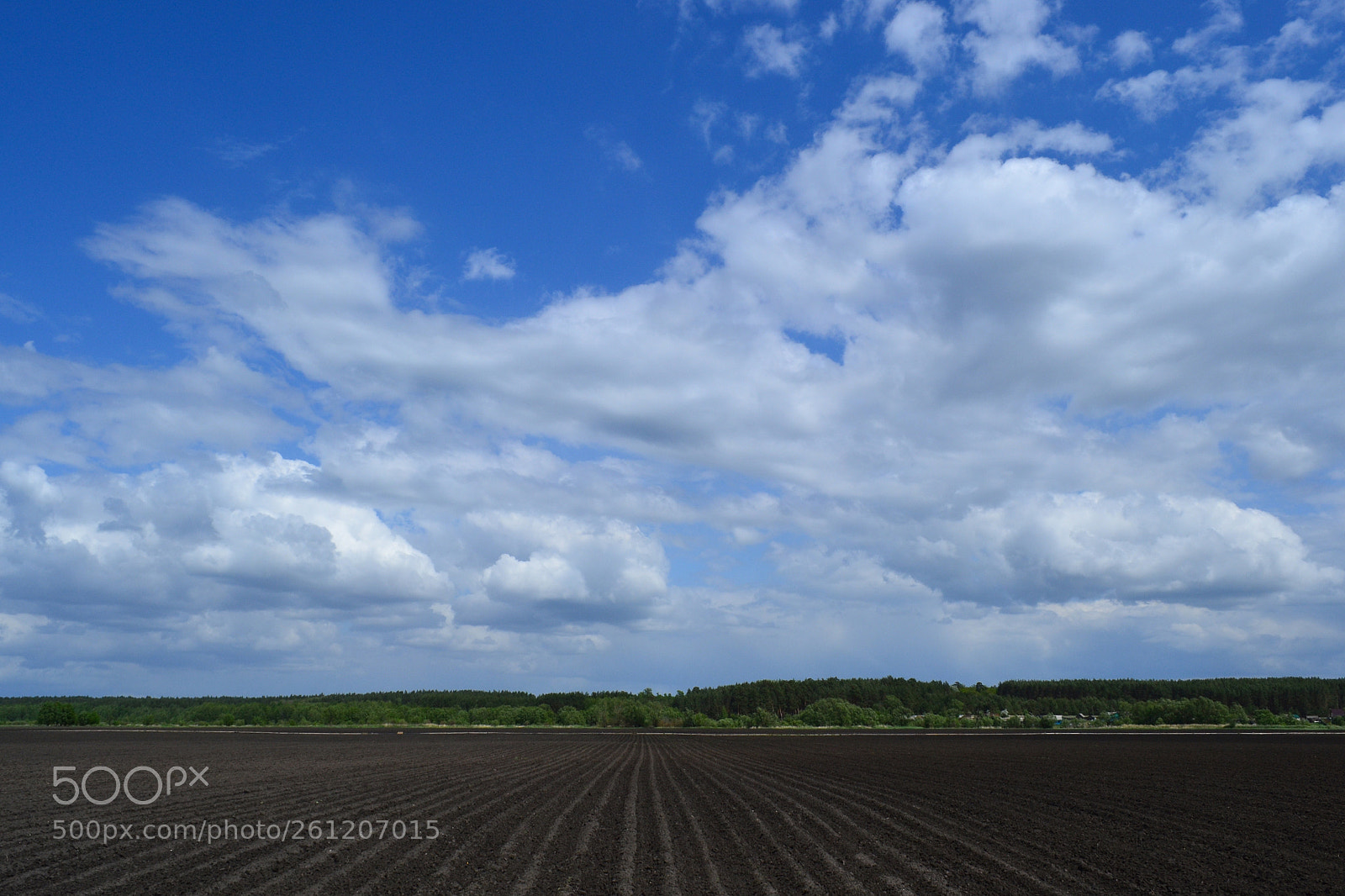 Nikon D3100 sample photo. Clouds over the field photography