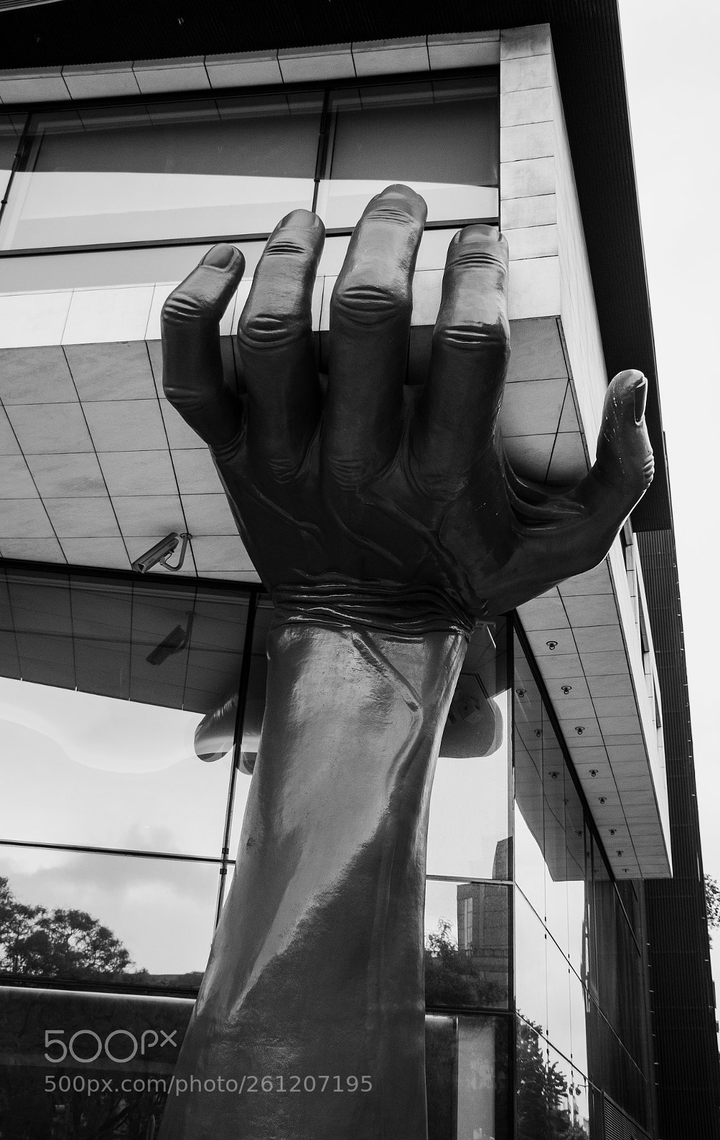 Canon EOS 700D (EOS Rebel T5i / EOS Kiss X7i) sample photo. Supporting hand photography
