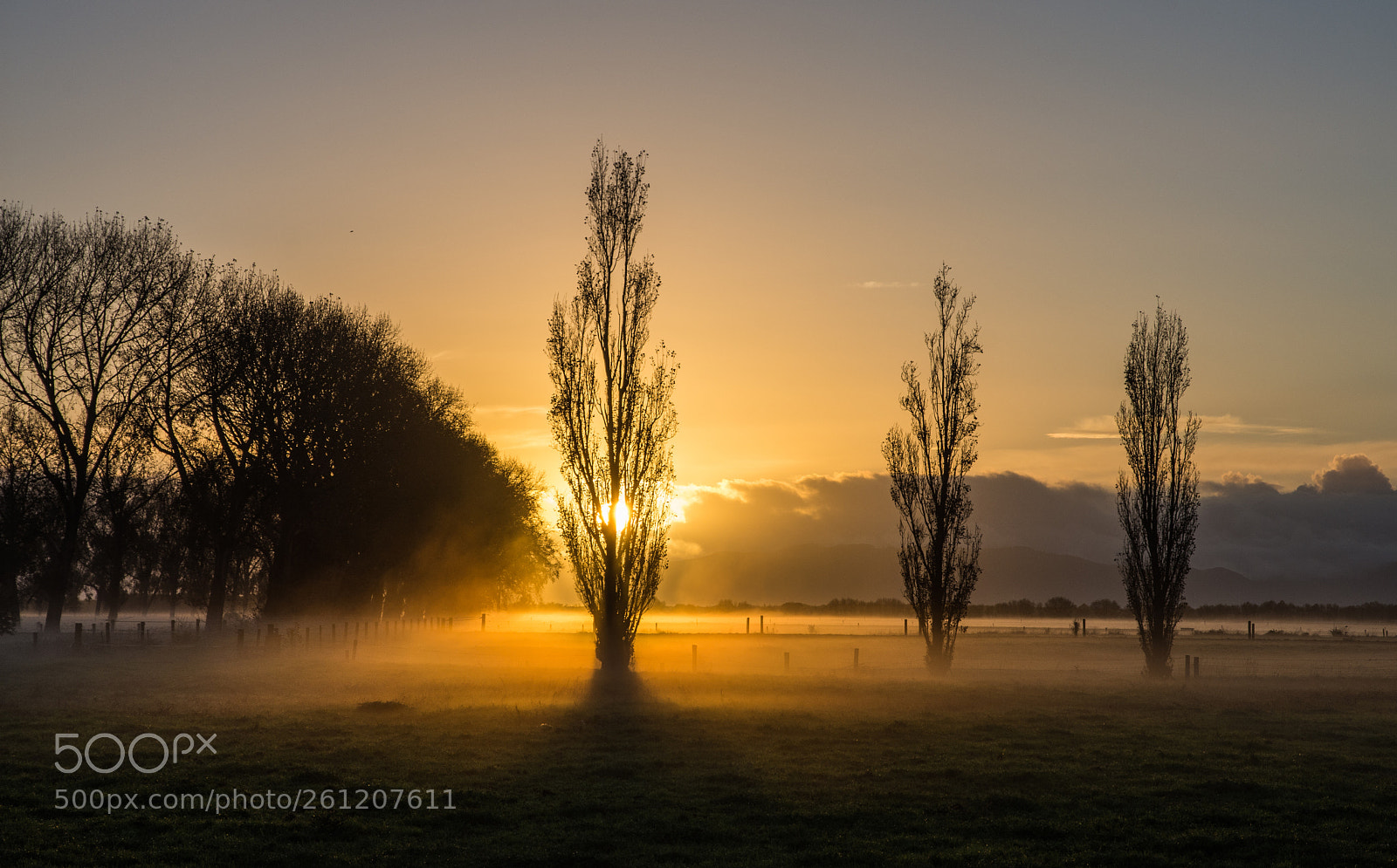 Nikon D7200 sample photo. Sunrise on a misty photography