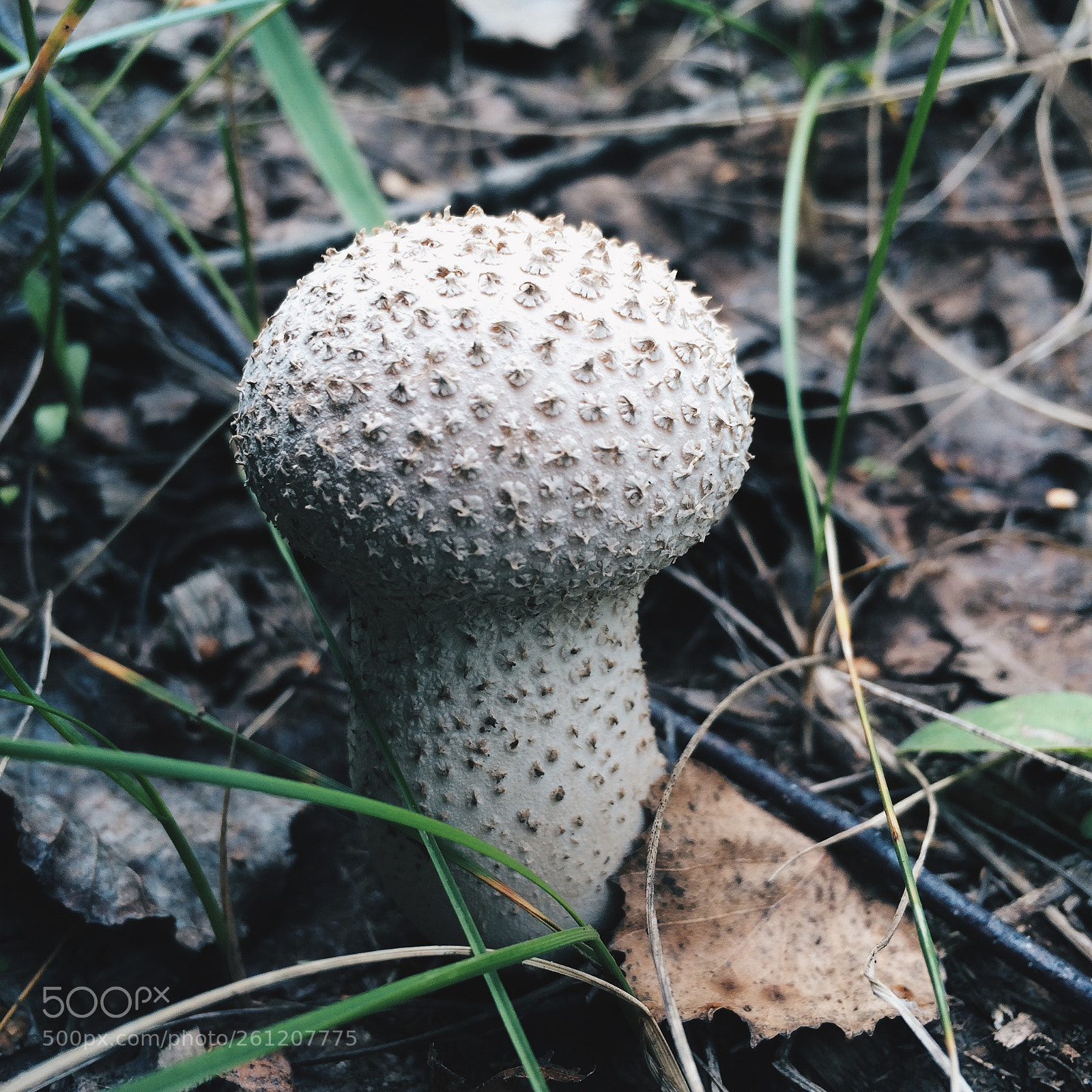 Apple iPhone 5s sample photo. Processed with vsco with photography