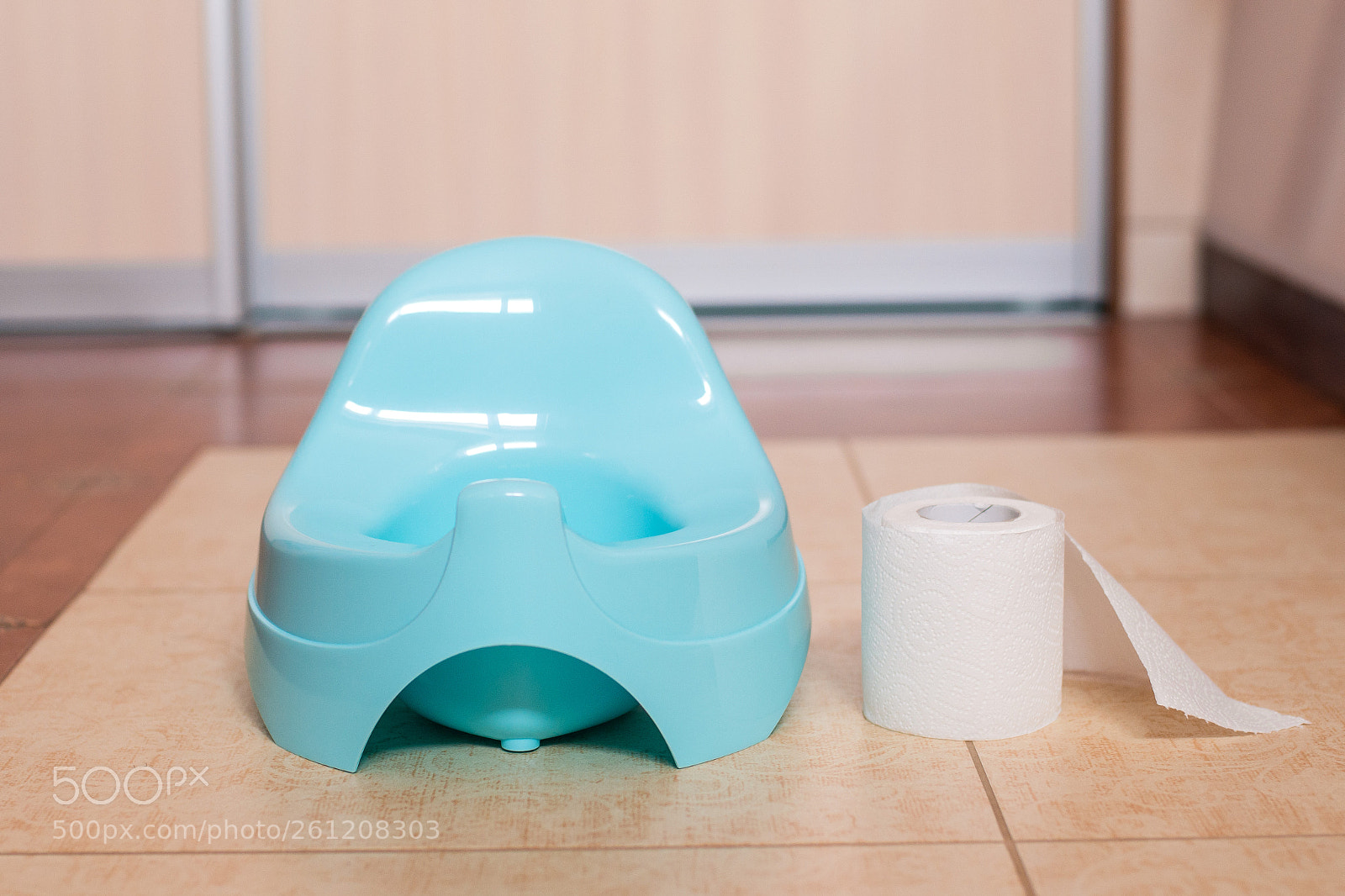 Nikon D800 sample photo. Blue potty with toilet photography