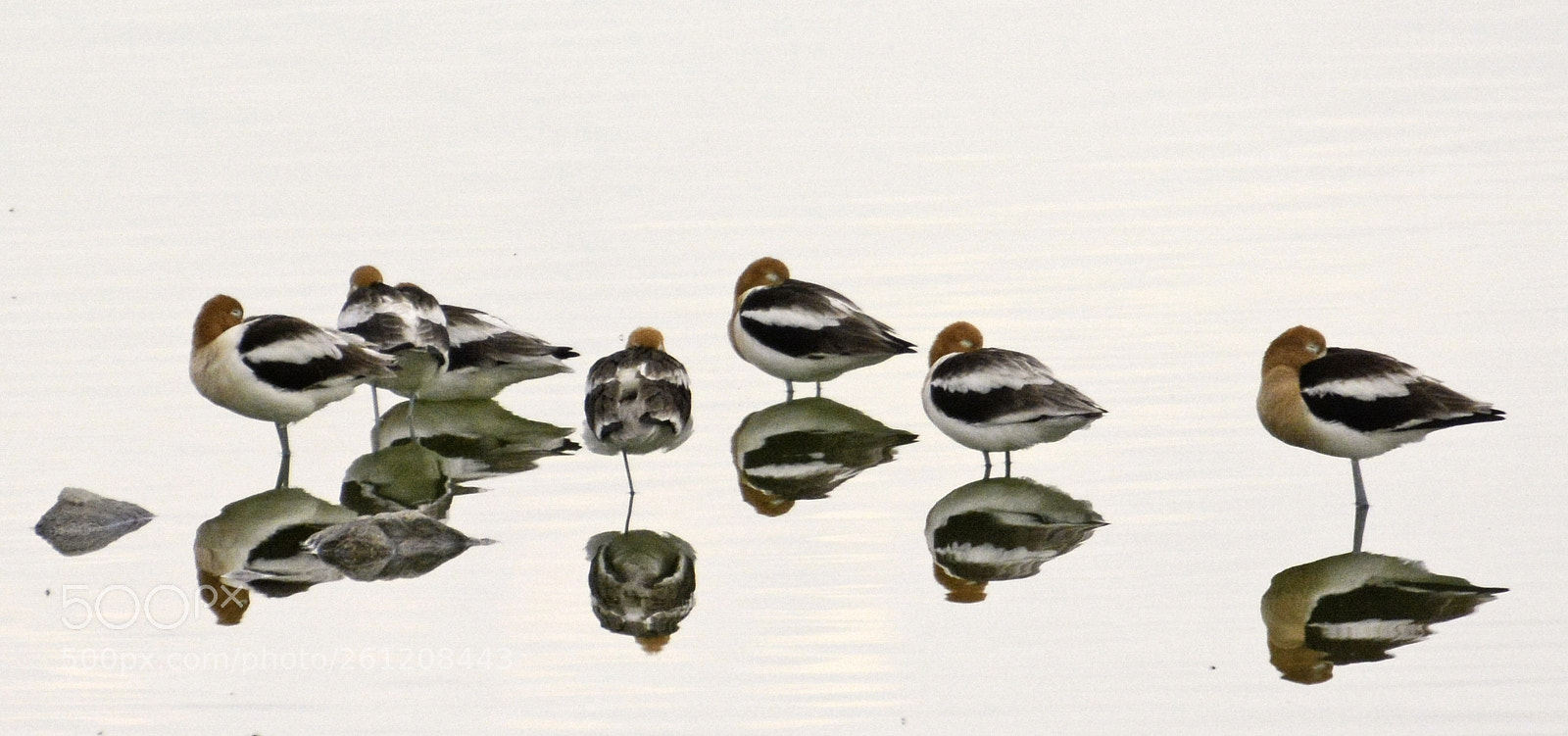Nikon D7100 sample photo. Reflections in nature photography