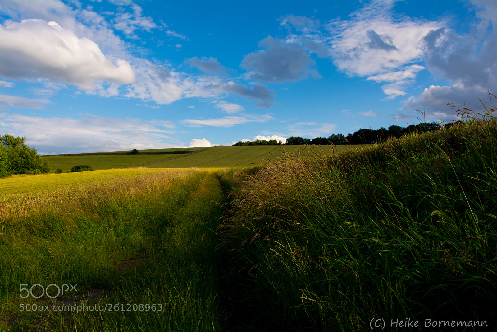Nikon D5200 sample photo. Farben des sommers photography