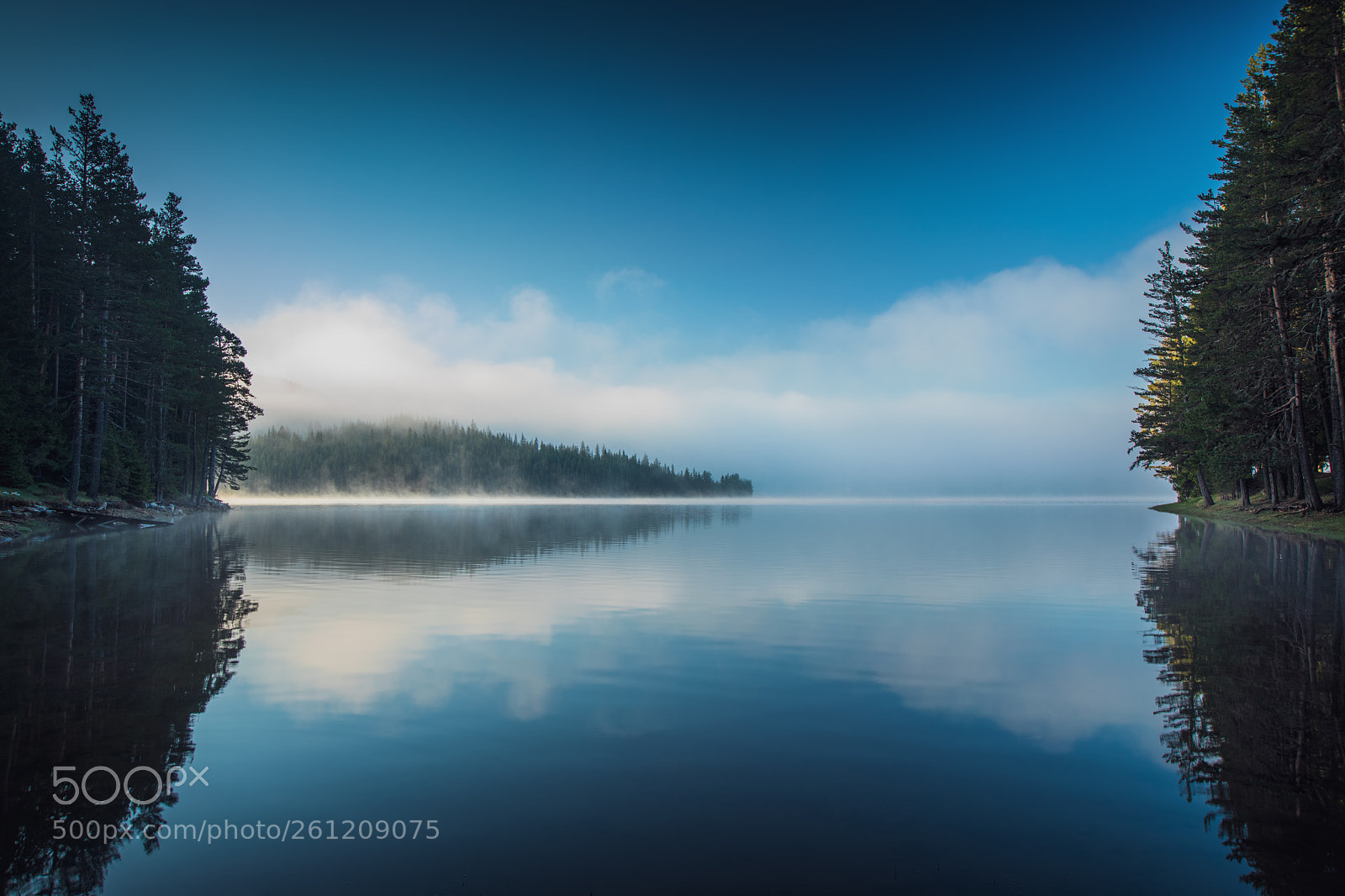 Canon EOS 5D Mark IV sample photo. Morning fog on the photography