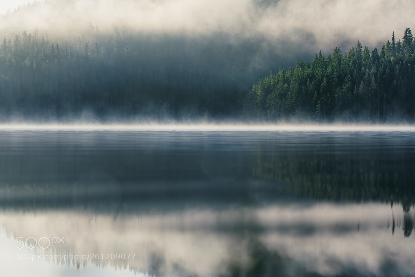 Canon EOS 5D Mark IV sample photo. Morning fog on the photography