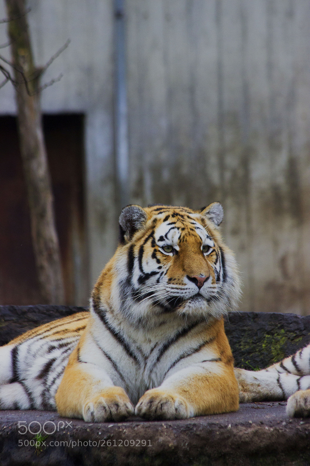 Canon EOS 600D (Rebel EOS T3i / EOS Kiss X5) sample photo. Img photography