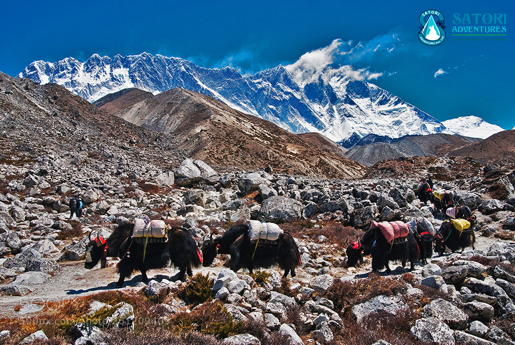 Nikon D80 sample photo. Everest base camp trek photography