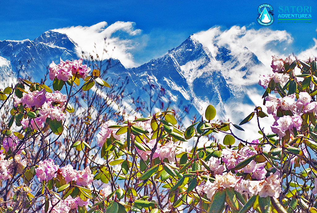Nikon D700 sample photo. Everest base camp trek photography