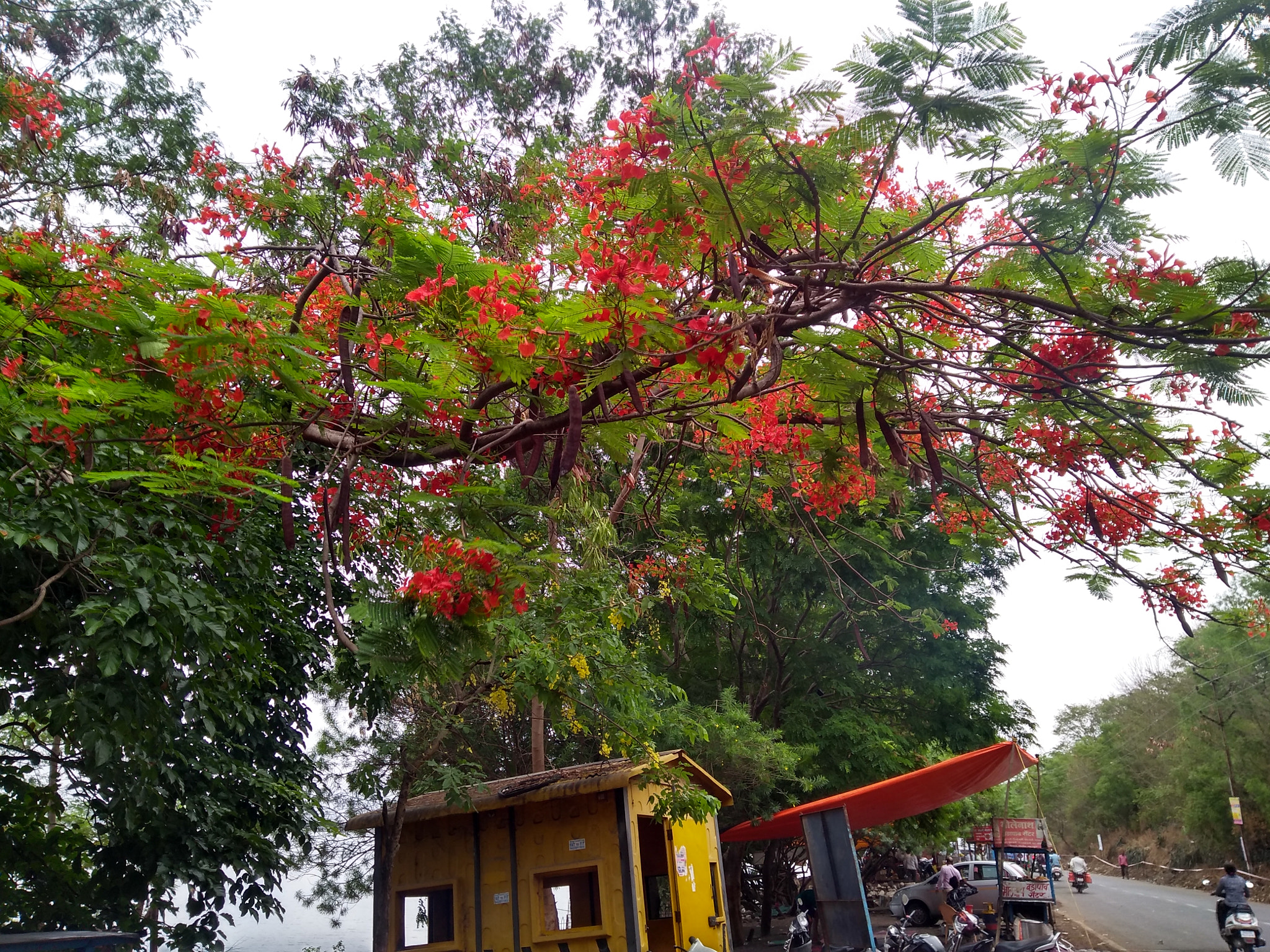 Motorola Moto G (5S) Plus sample photo