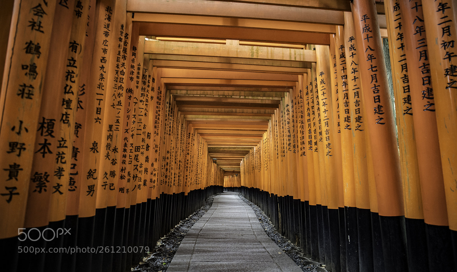 Sony a7 III sample photo. Thousand torii photography
