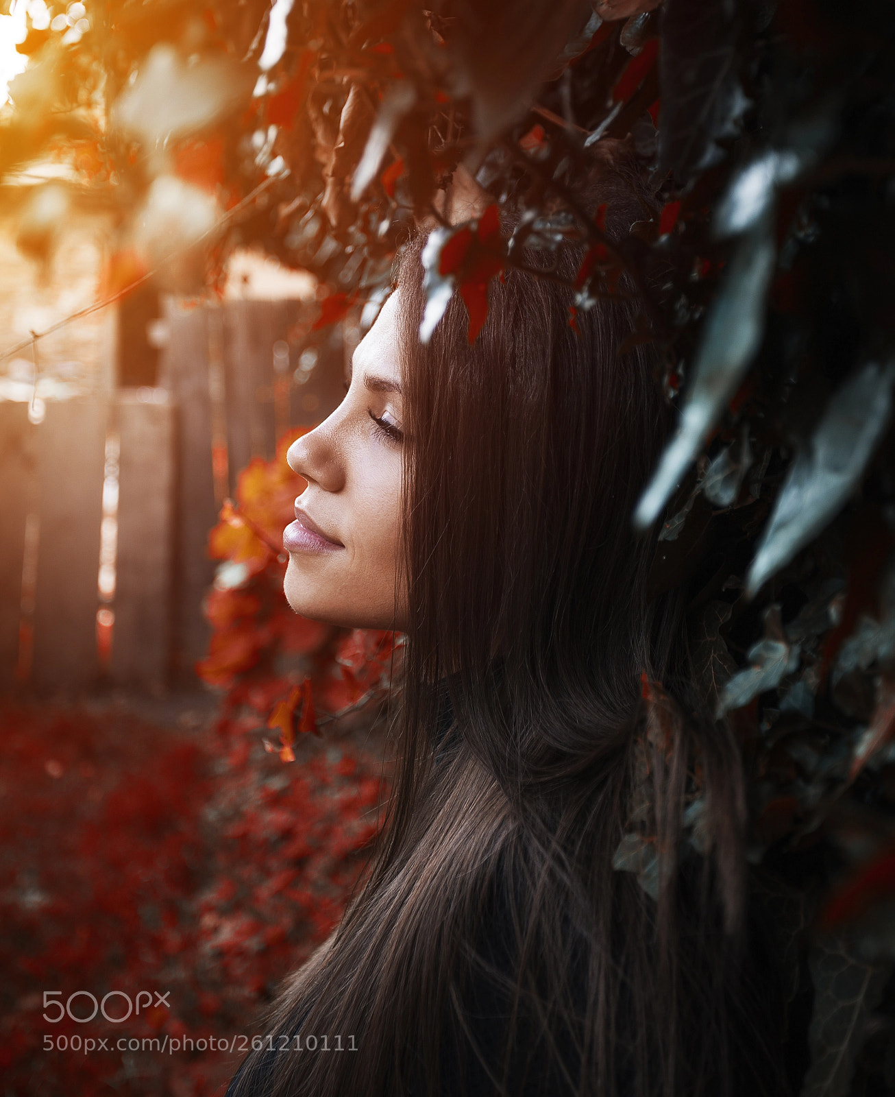 Canon EOS 6D sample photo. Sunny photography