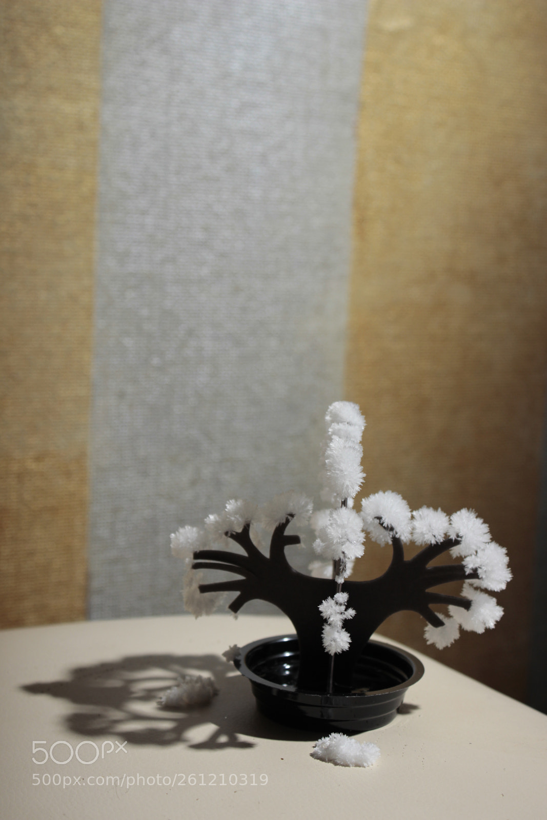 Canon EOS 600D (Rebel EOS T3i / EOS Kiss X5) sample photo. Mg photography