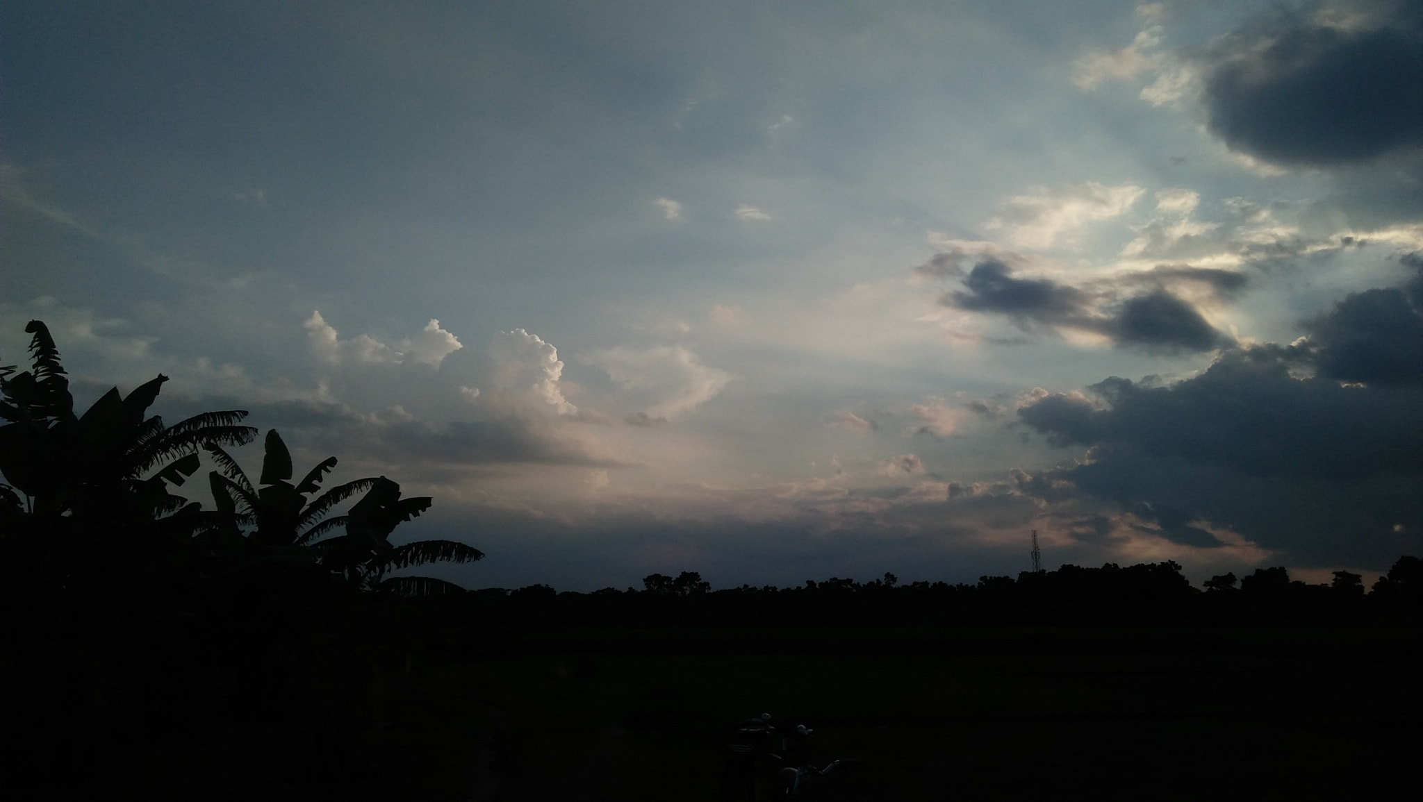 OPPO A37fw-International sample photo
