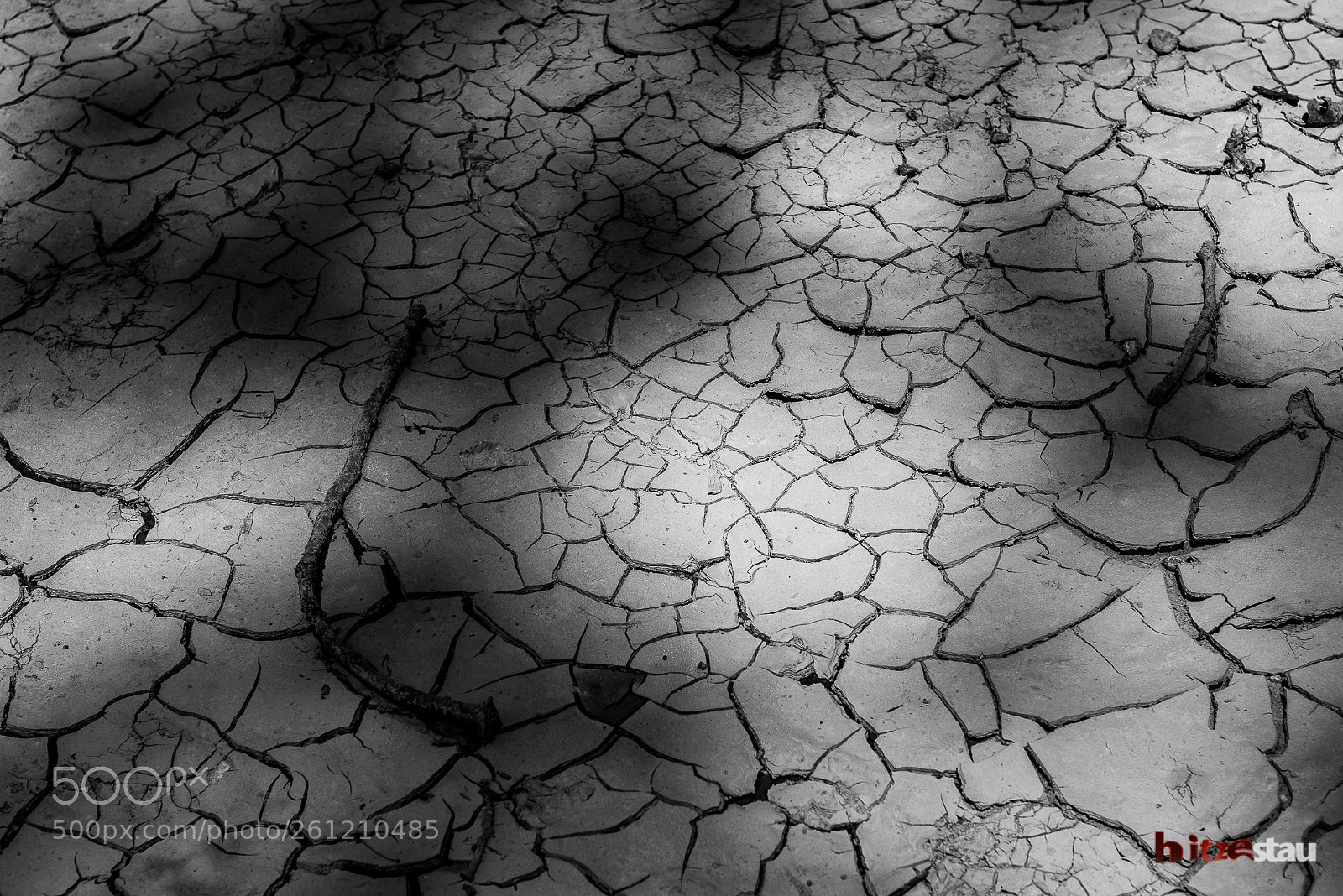 Nikon D610 sample photo. Extreme drought photography