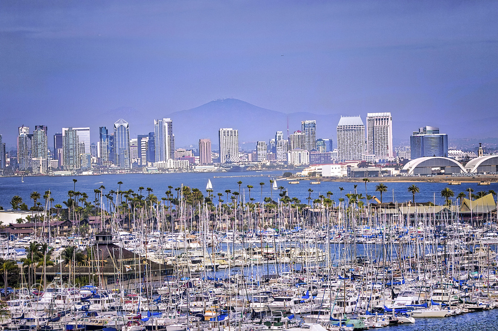 Canon EOS 7D Mark II sample photo. San diego skyline photography