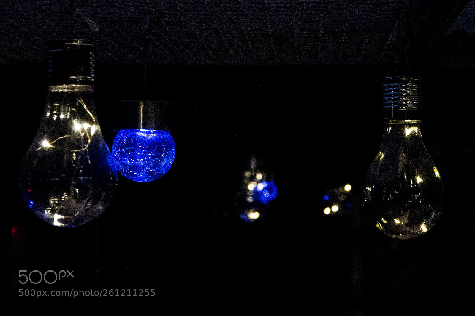 Sony Cyber-shot DSC-RX10 IV sample photo. Garden lights photography