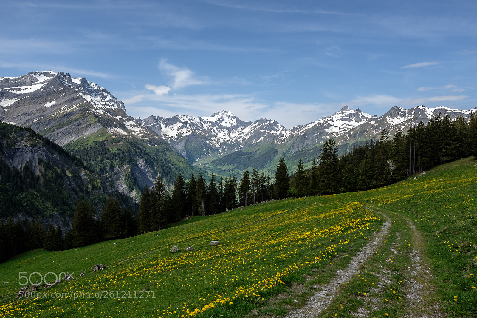 Fujifilm X-T20 sample photo. Eggboden / glarus ch photography
