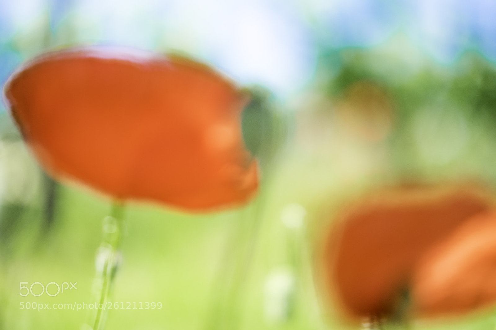 Fujifilm X-T1 sample photo. Die farben des fr photography