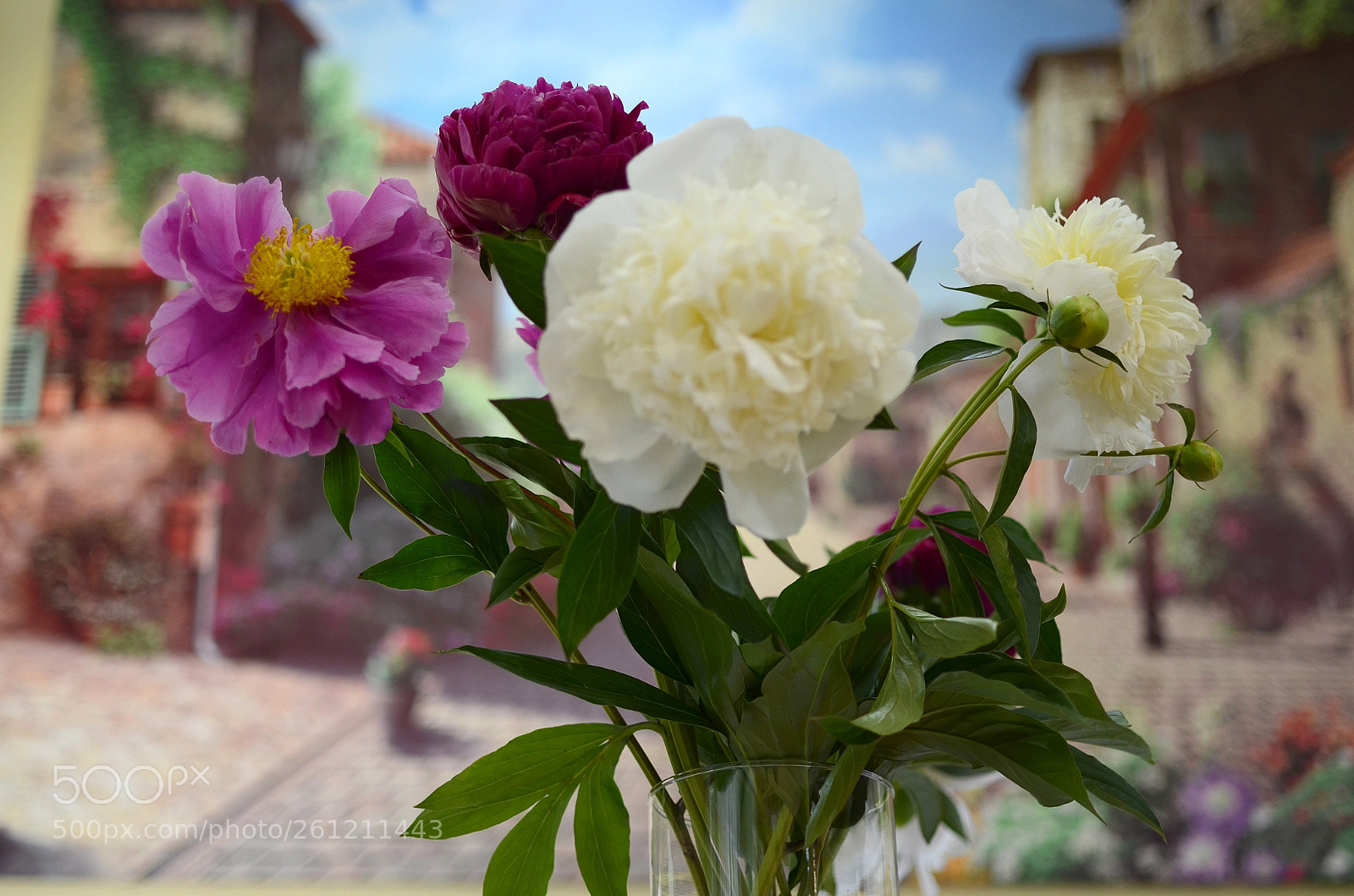 Nikon D5100 sample photo. Peony flower photography