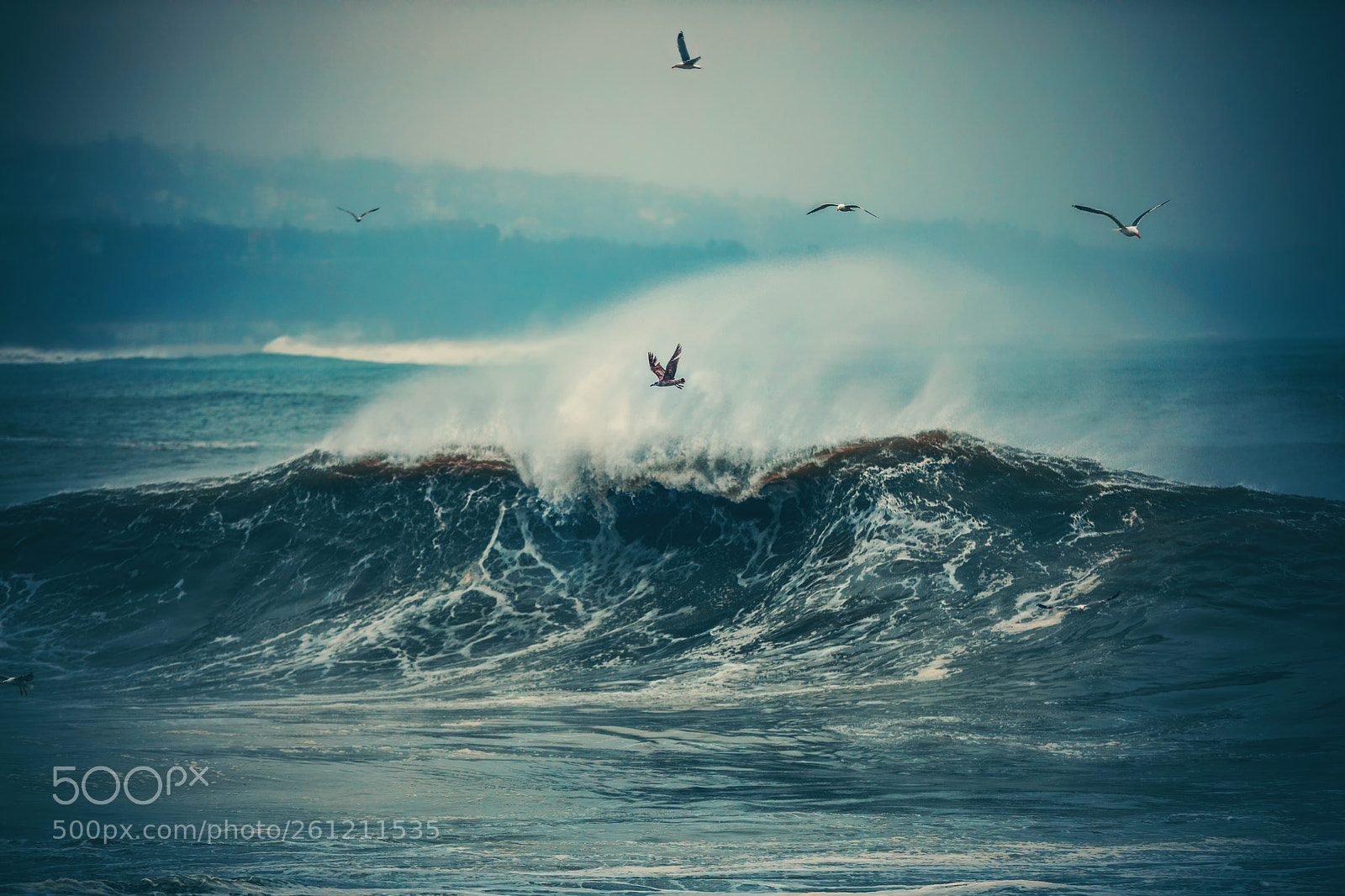 Canon EOS 5D Mark IV sample photo. Huge waves in the photography
