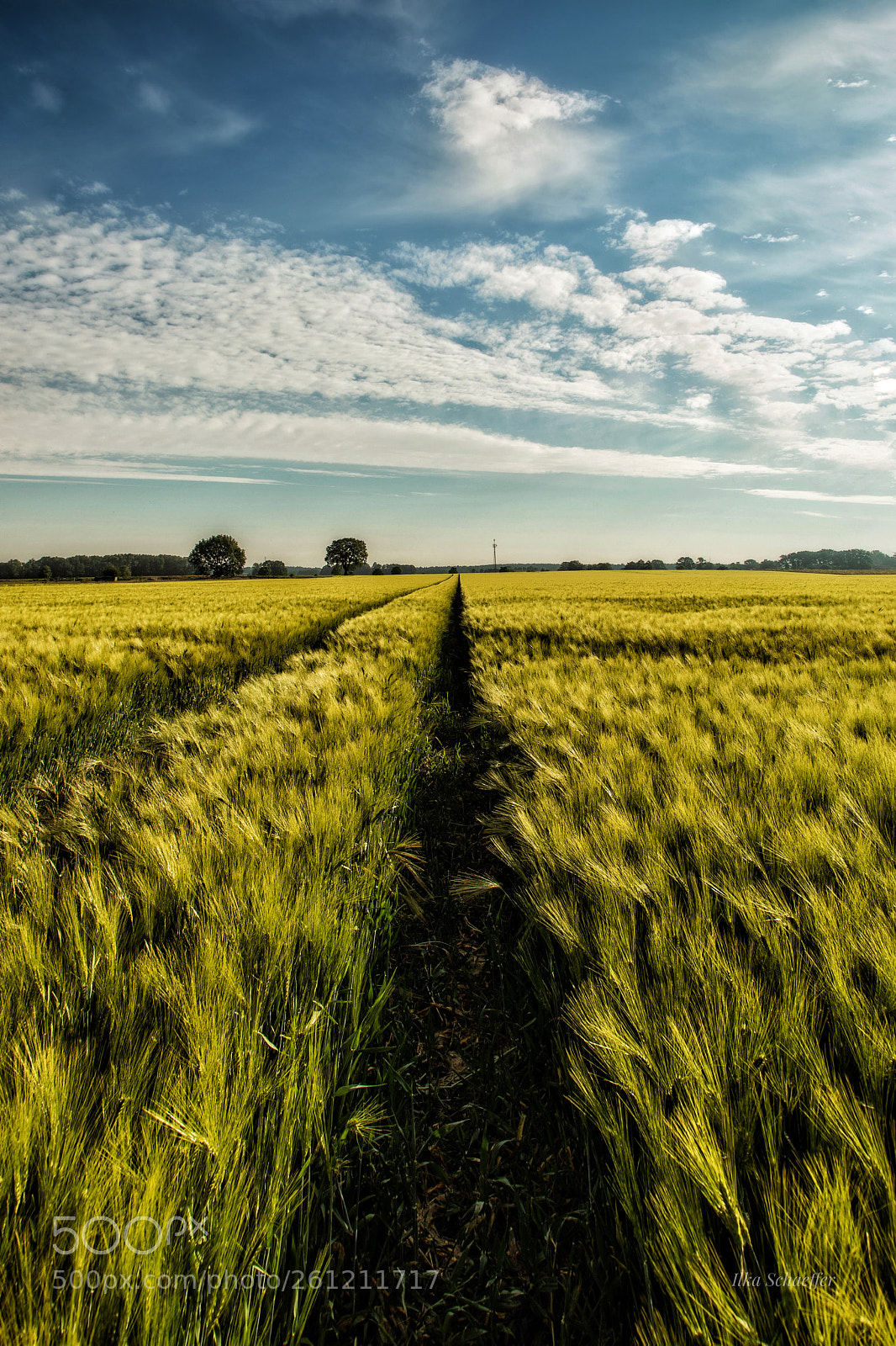 Canon EOS 5D Mark IV sample photo. Ackerbau photography