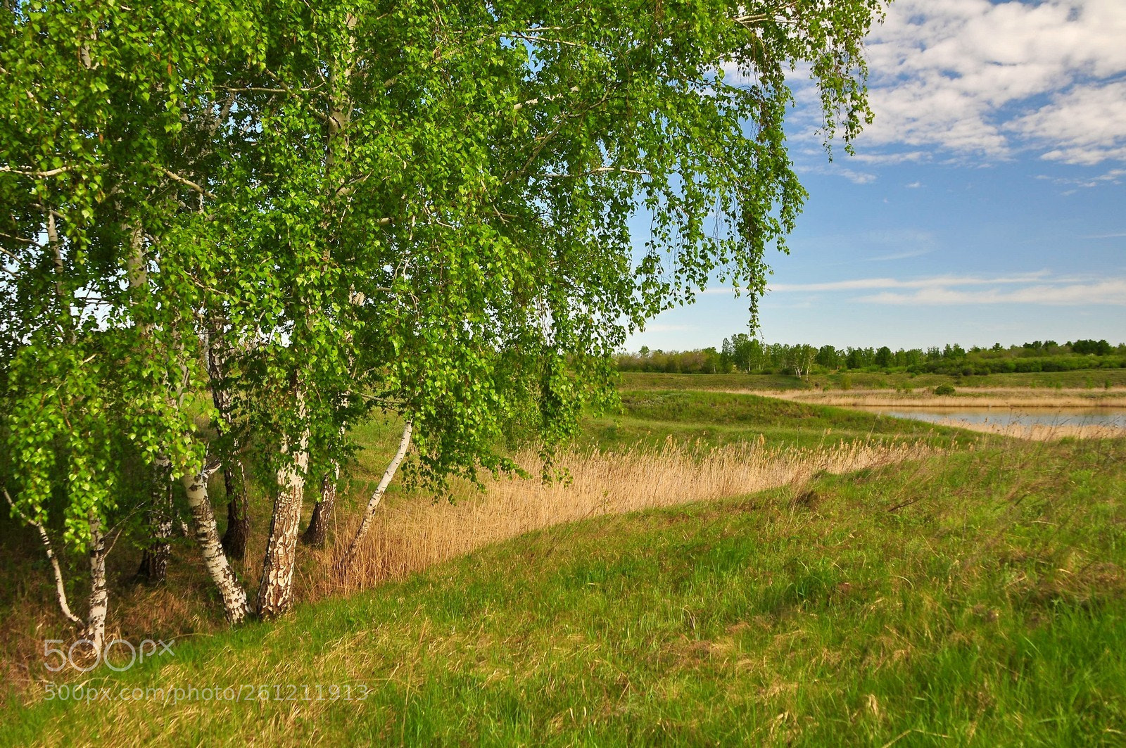 Nikon D90 sample photo. Утро у реки Омь photography