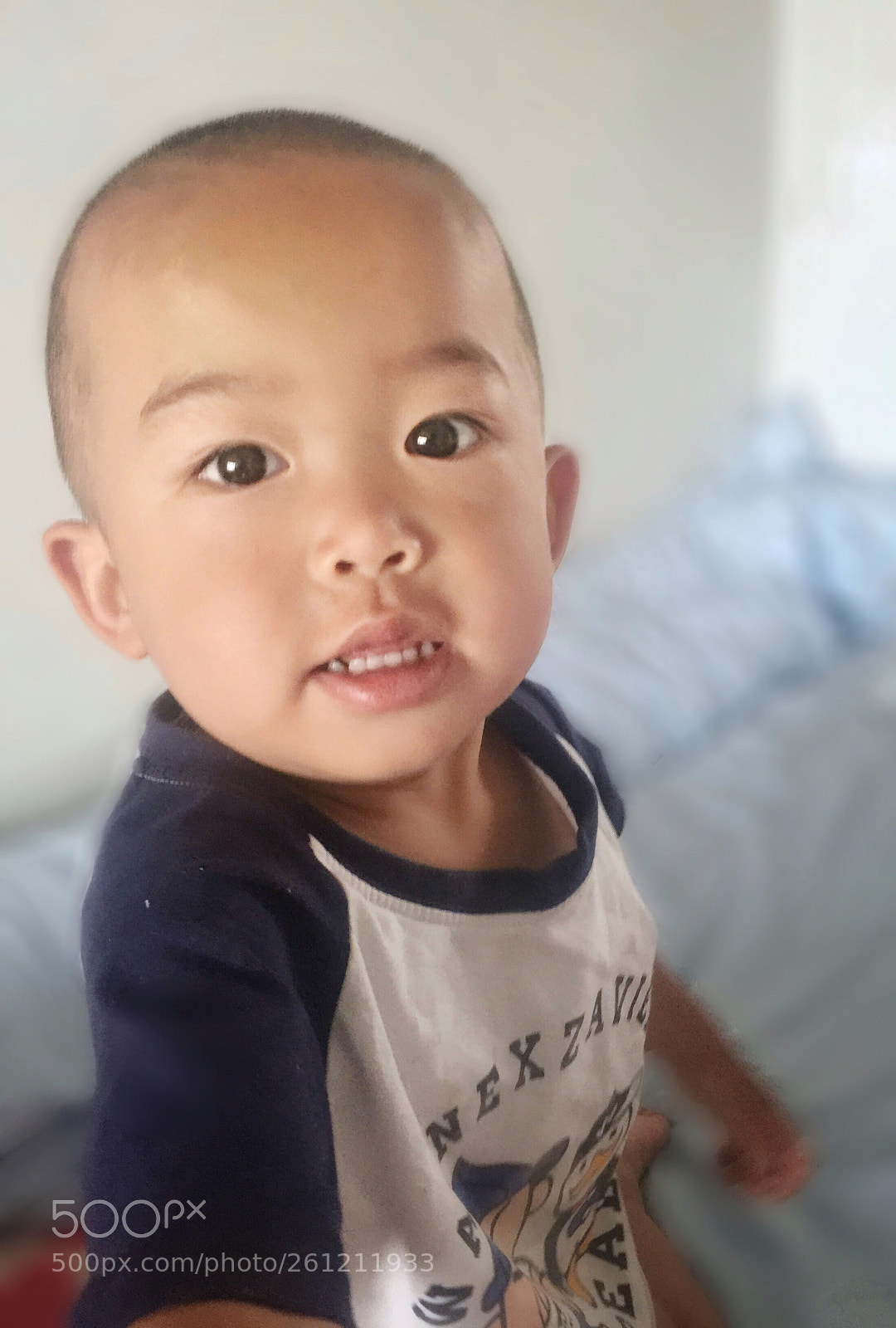 Apple iPhone 6 Plus sample photo. Untitled photography