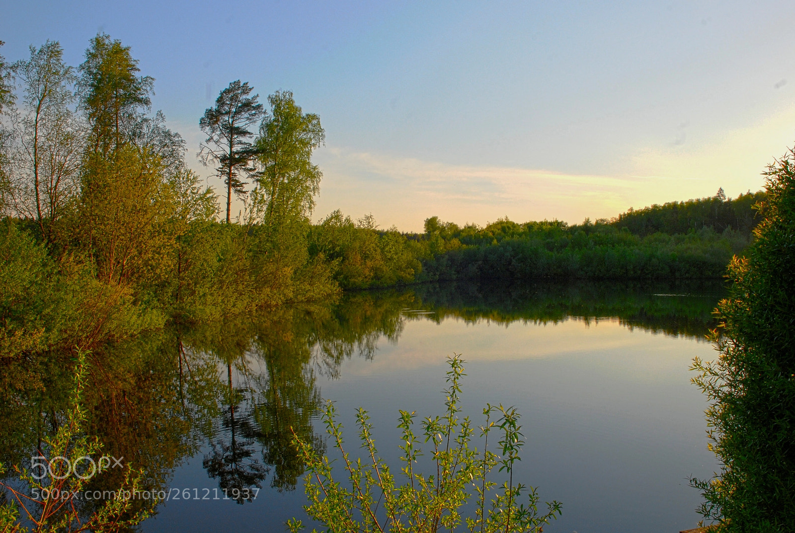 Nikon D80 sample photo. Лесное озеро. Где то в России. photography