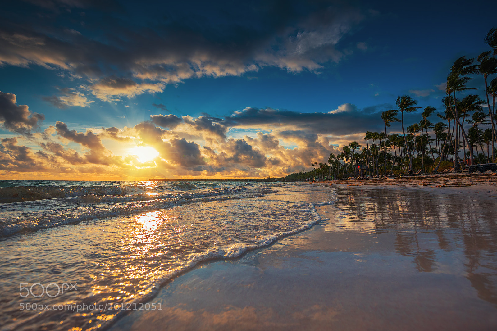 Canon EOS 5D Mark IV sample photo. Palm and tropical beach photography