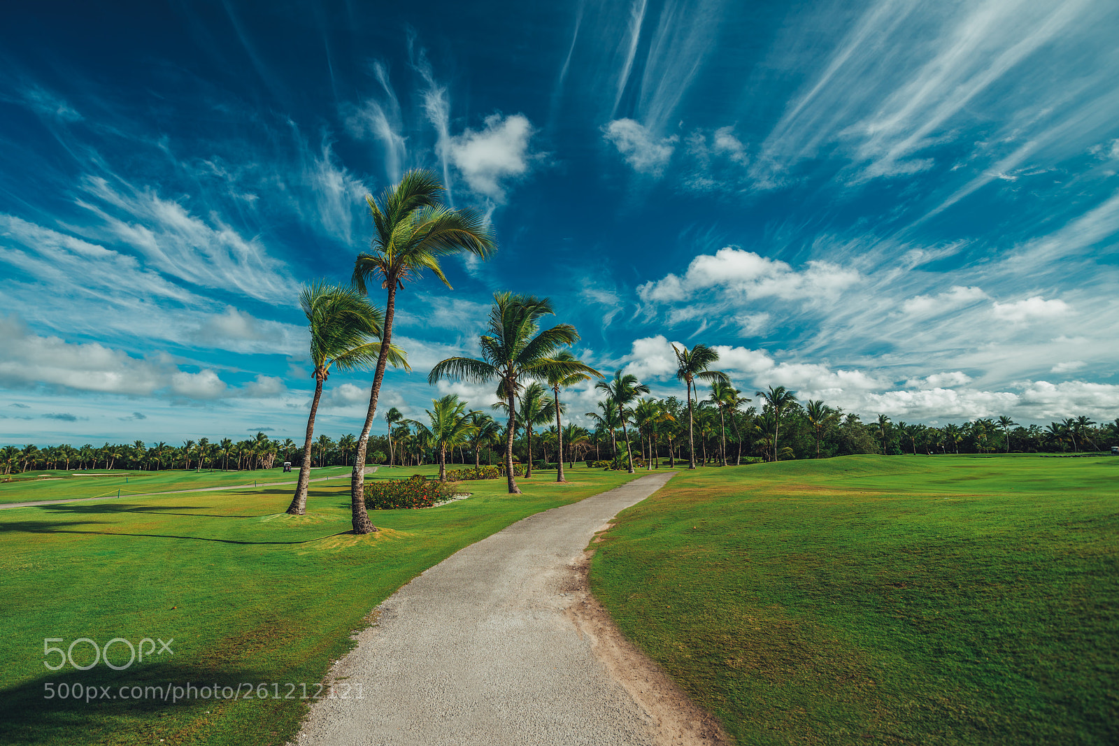 Sony a7R II sample photo. Golf course in the photography