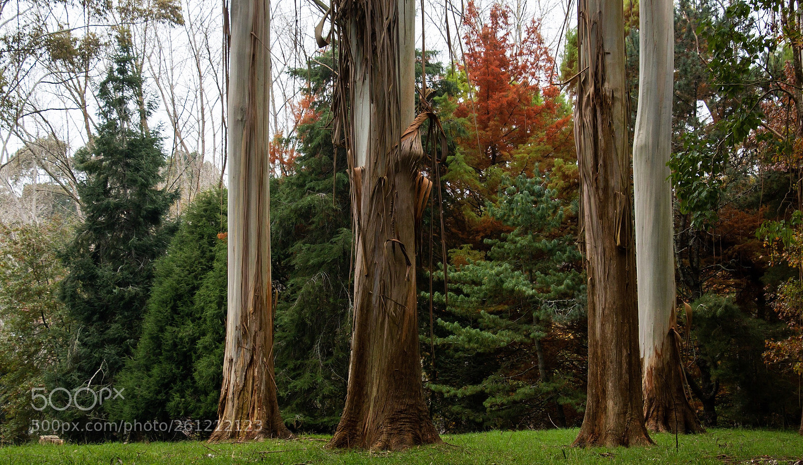 Canon EOS 70D sample photo. Autumn photography