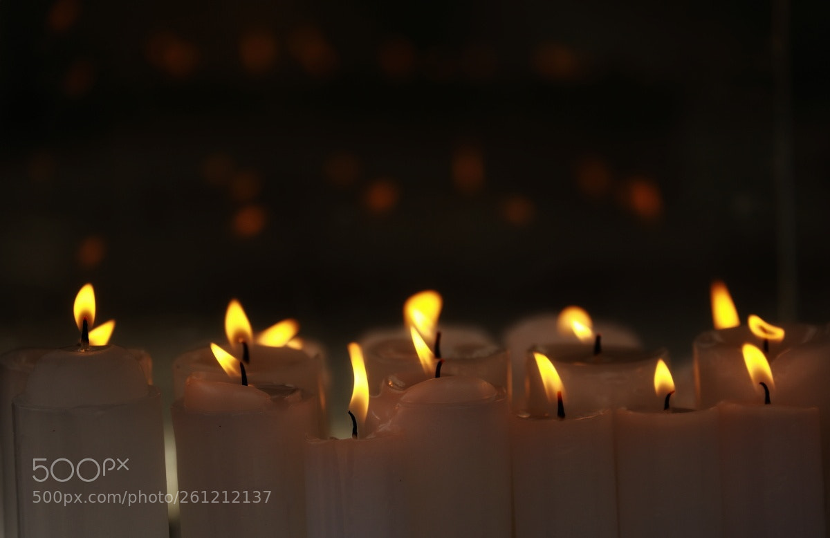 Canon EOS 5D Mark IV sample photo. An earnest wish photography