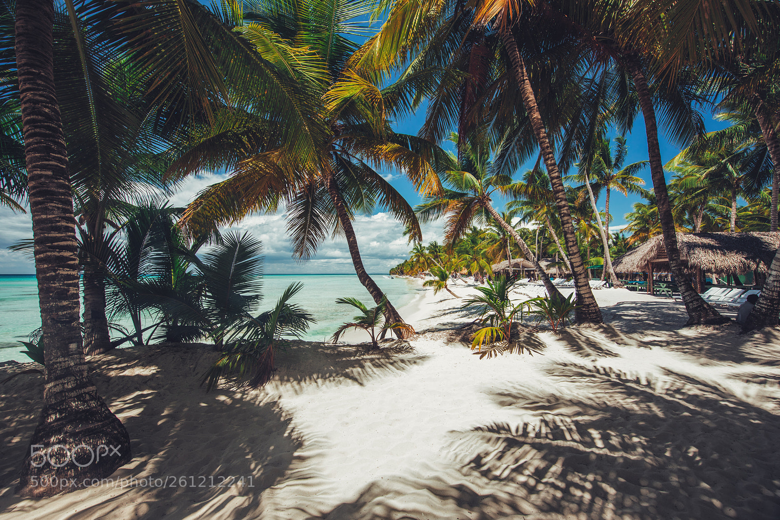 Canon EOS 5D Mark IV sample photo. Palmtree and tropical beach photography