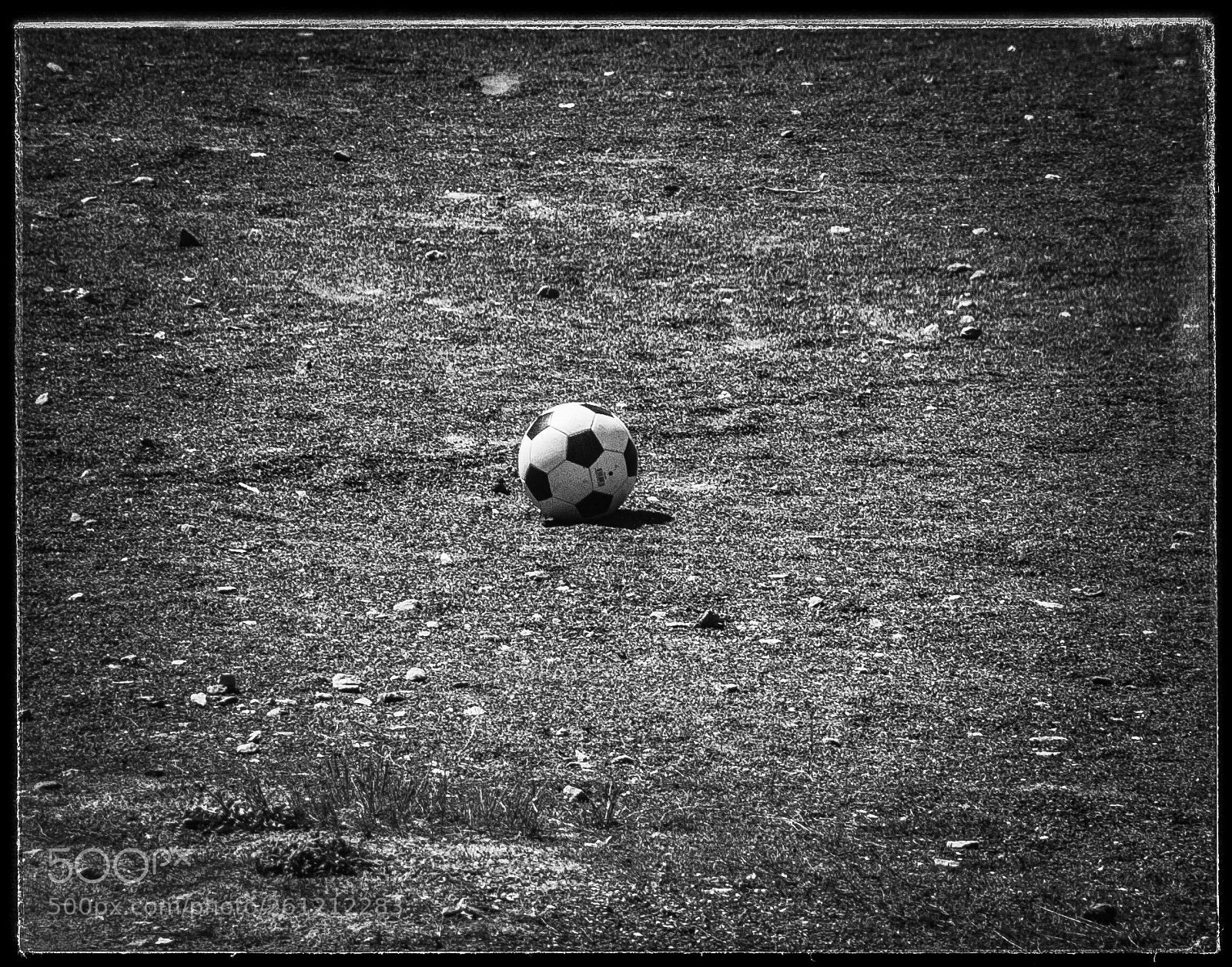 Nikon D80 sample photo. Untitled photography