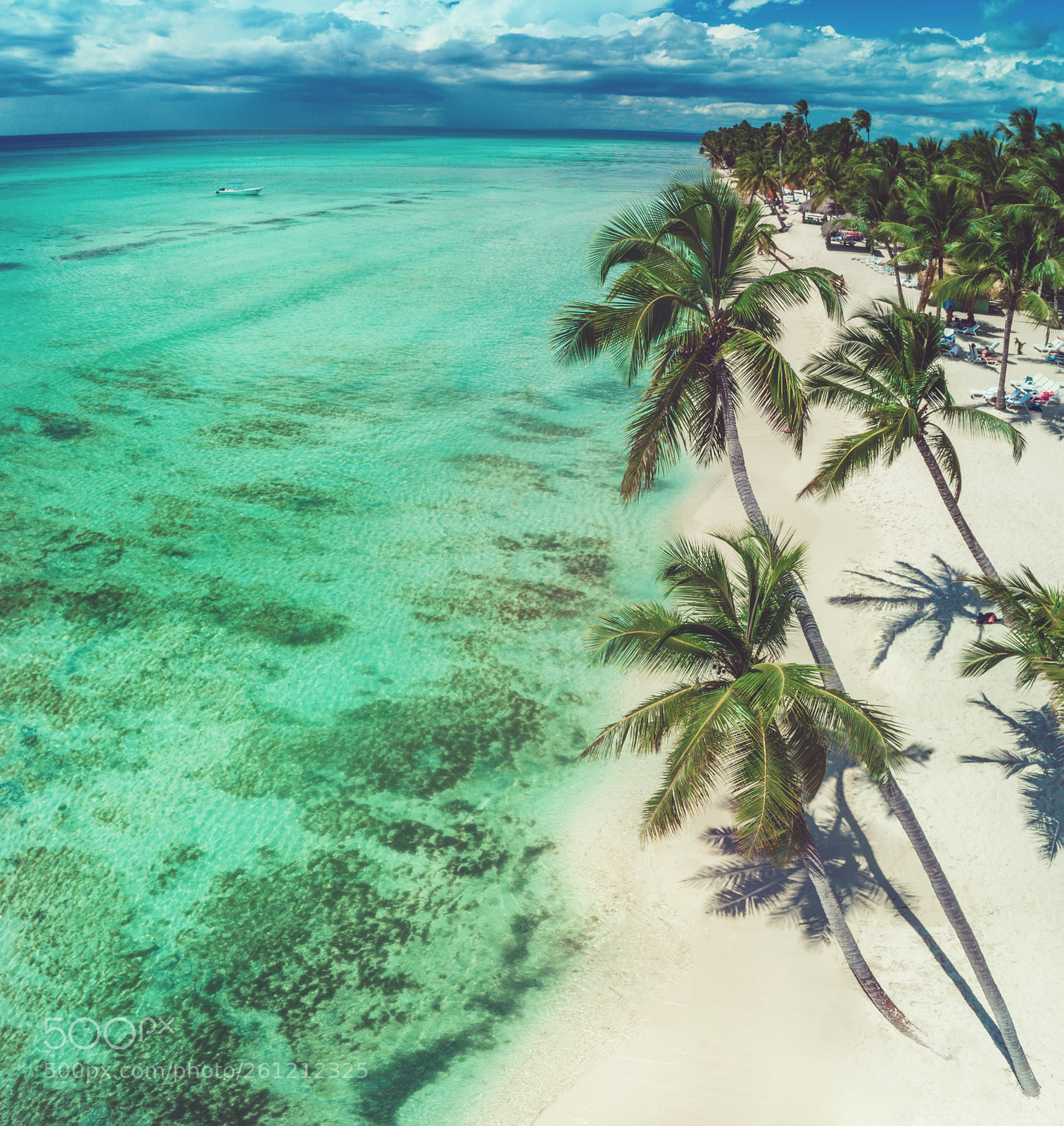 DJI FC6310 sample photo. Aerial view of tropical photography