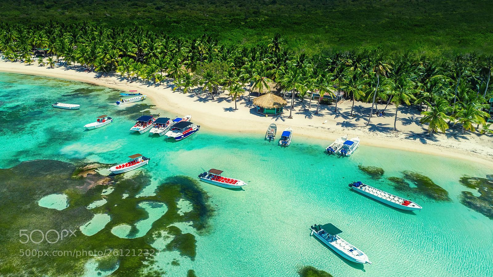 DJI FC6310 sample photo. Aerial view of tropical photography