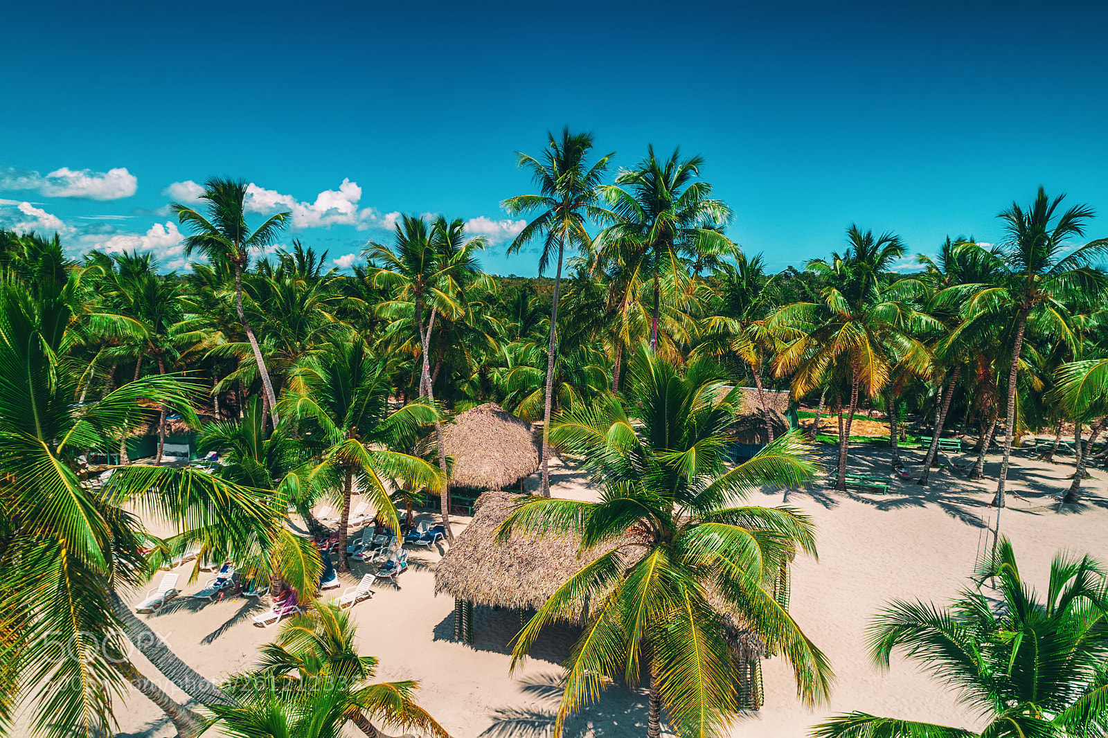 DJI FC6310 sample photo. Aerial view of tropical photography