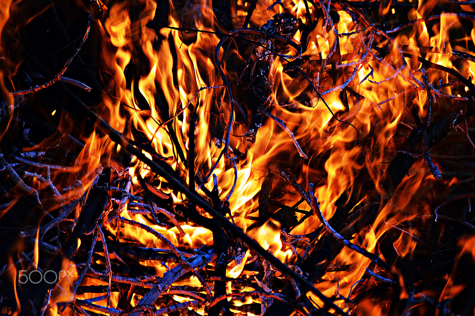 Nikon D3200 sample photo. I´m on fire photography