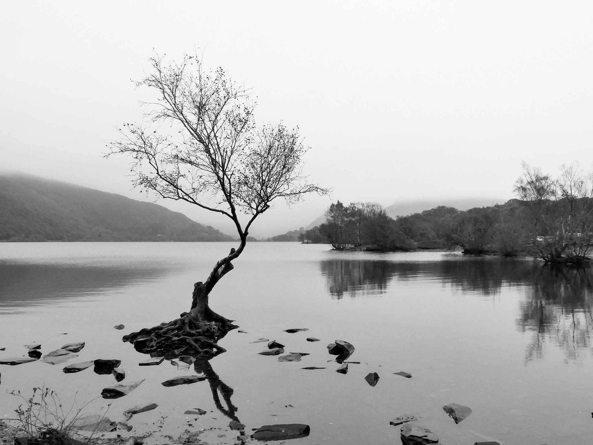 Panasonic Lumix DMC-G85 (Lumix DMC-G80) sample photo. Lonely tree in snowdon photography